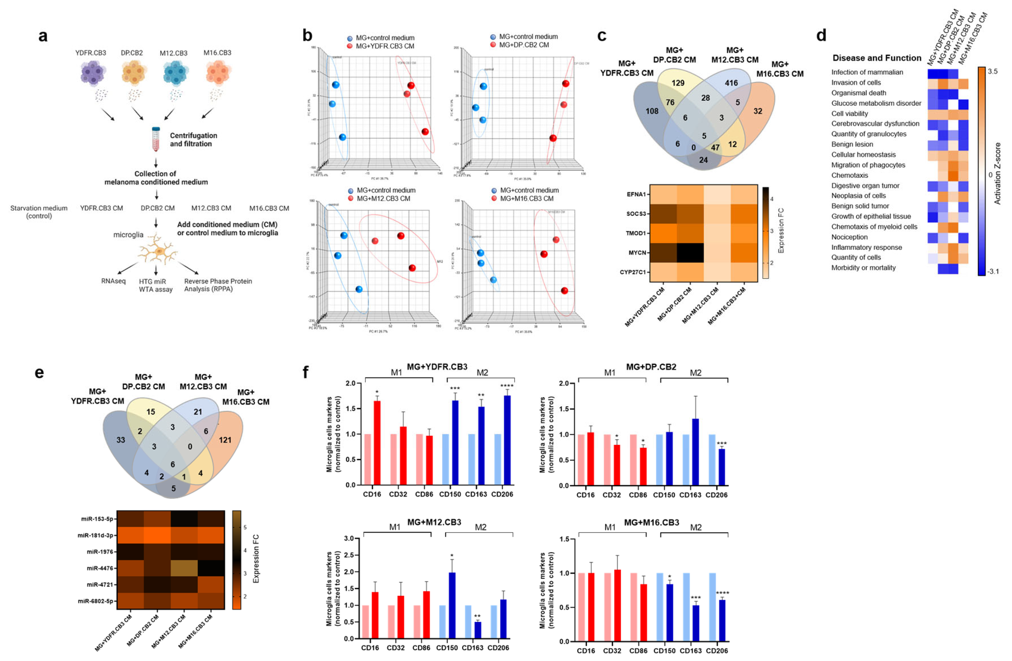 Cells 12 01513 g001 Cells 12 01513 g001