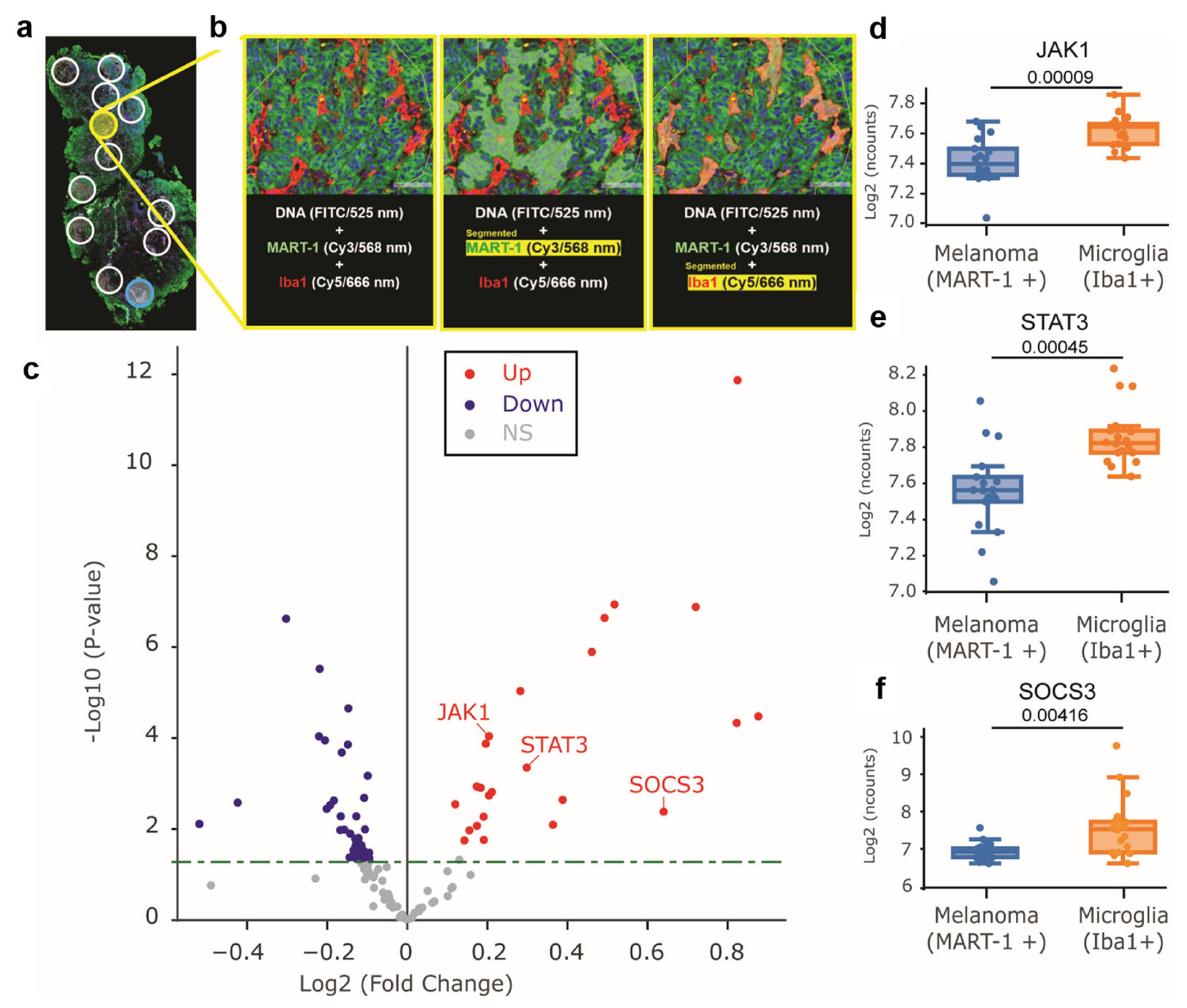 Cells 12 01513 g006 Cells 12 01513 g006