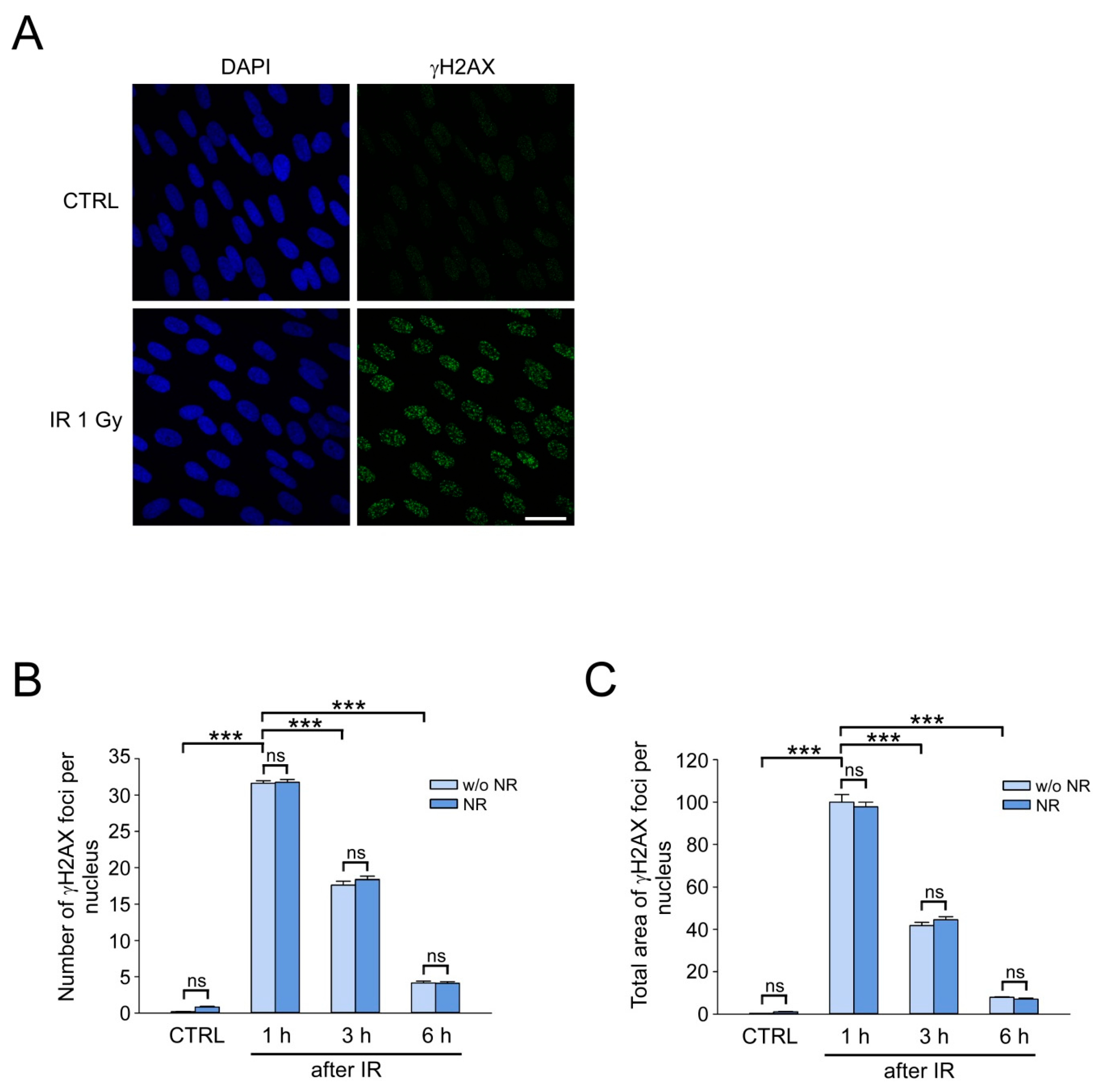Cells 12 01518 g002 Cells 12 01518 g002