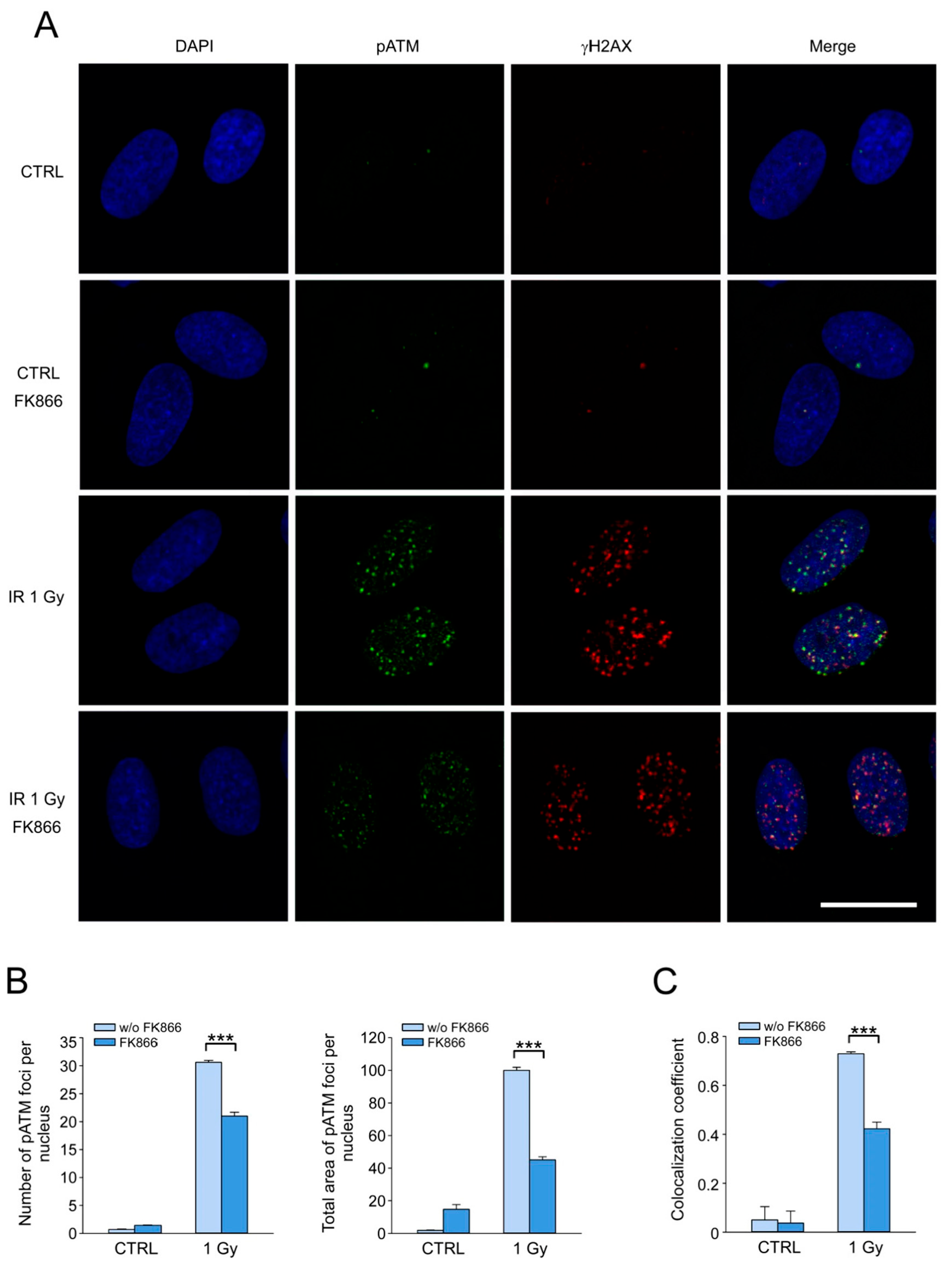 Cells 12 01518 g005 Cells 12 01518 g005