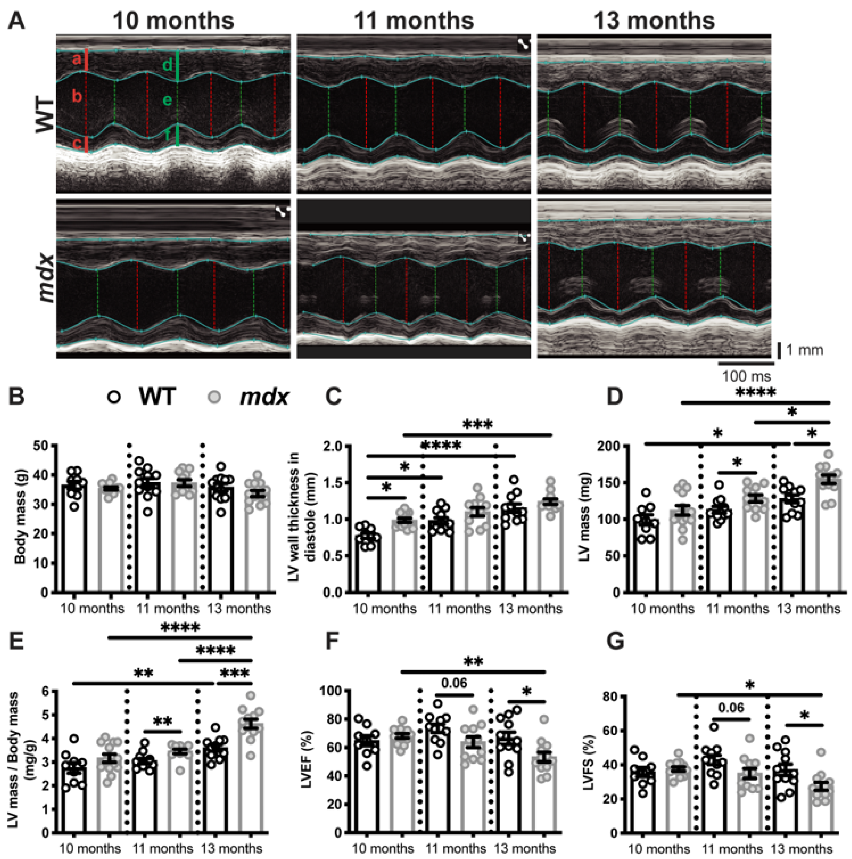 Cells 12 01538 g001 Cells 12 01538 g001