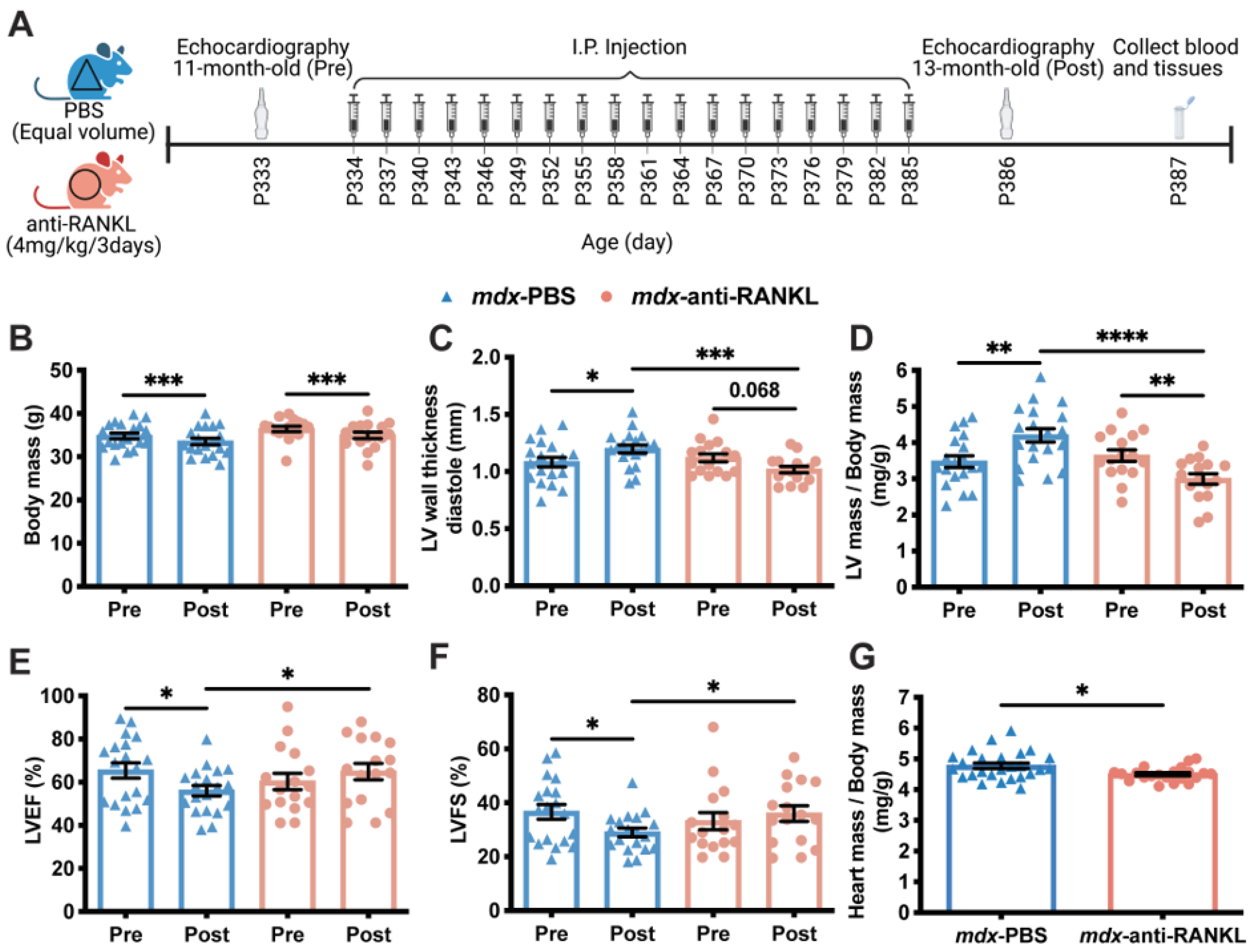 Cells 12 01538 g003 Cells 12 01538 g003