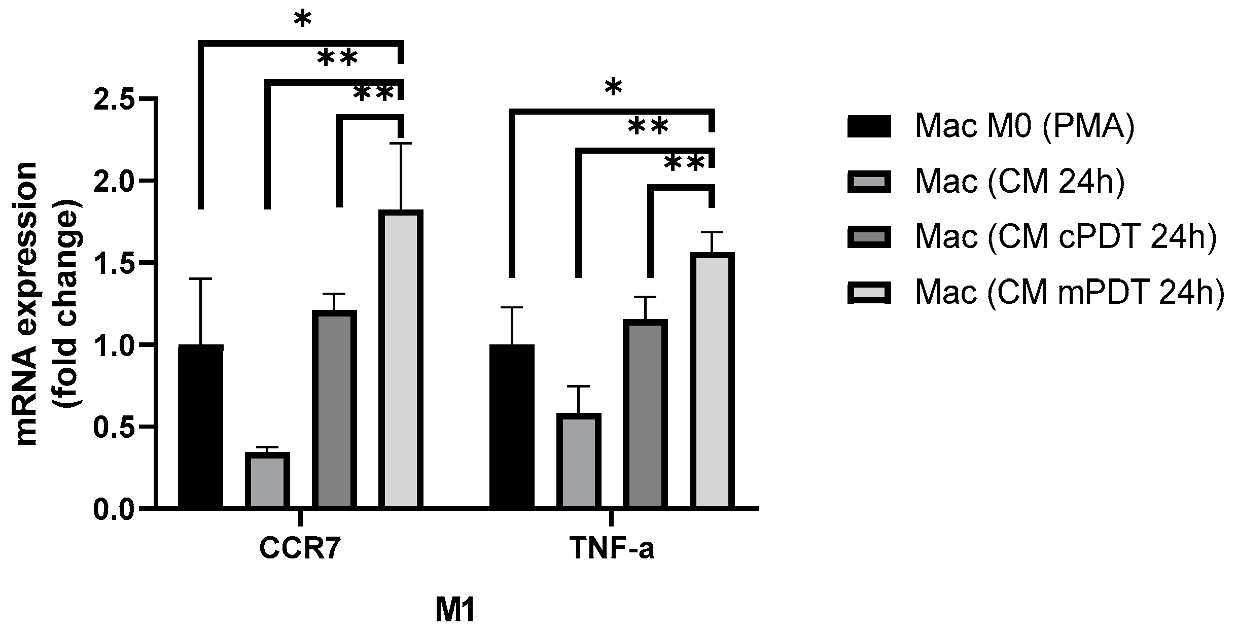 Cells 12 01541 g005 Cells 12 01541 g005