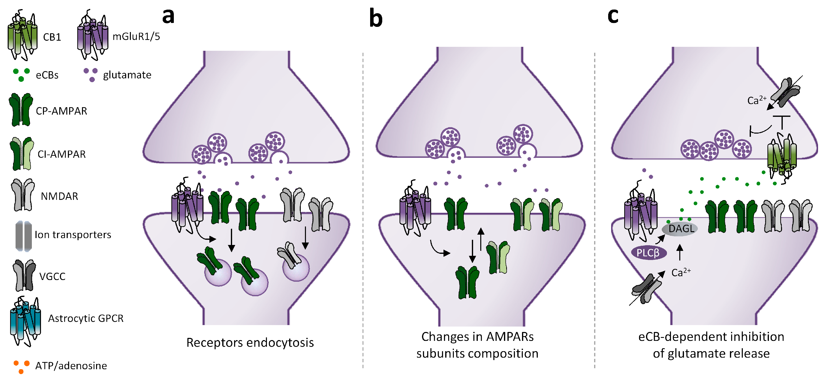 Cells 12 01588 g002a Cells 12 01588 g002a