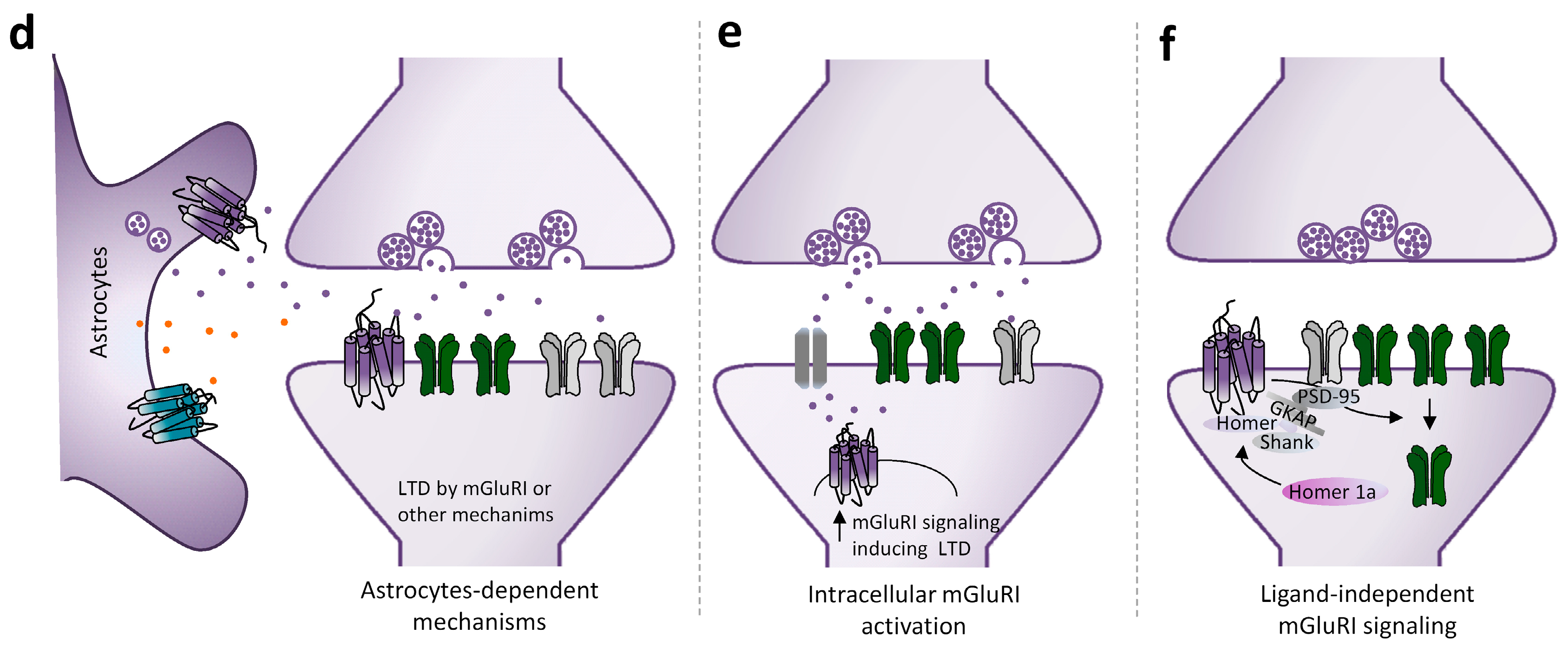 Cells 12 01588 g002b Cells 12 01588 g002b