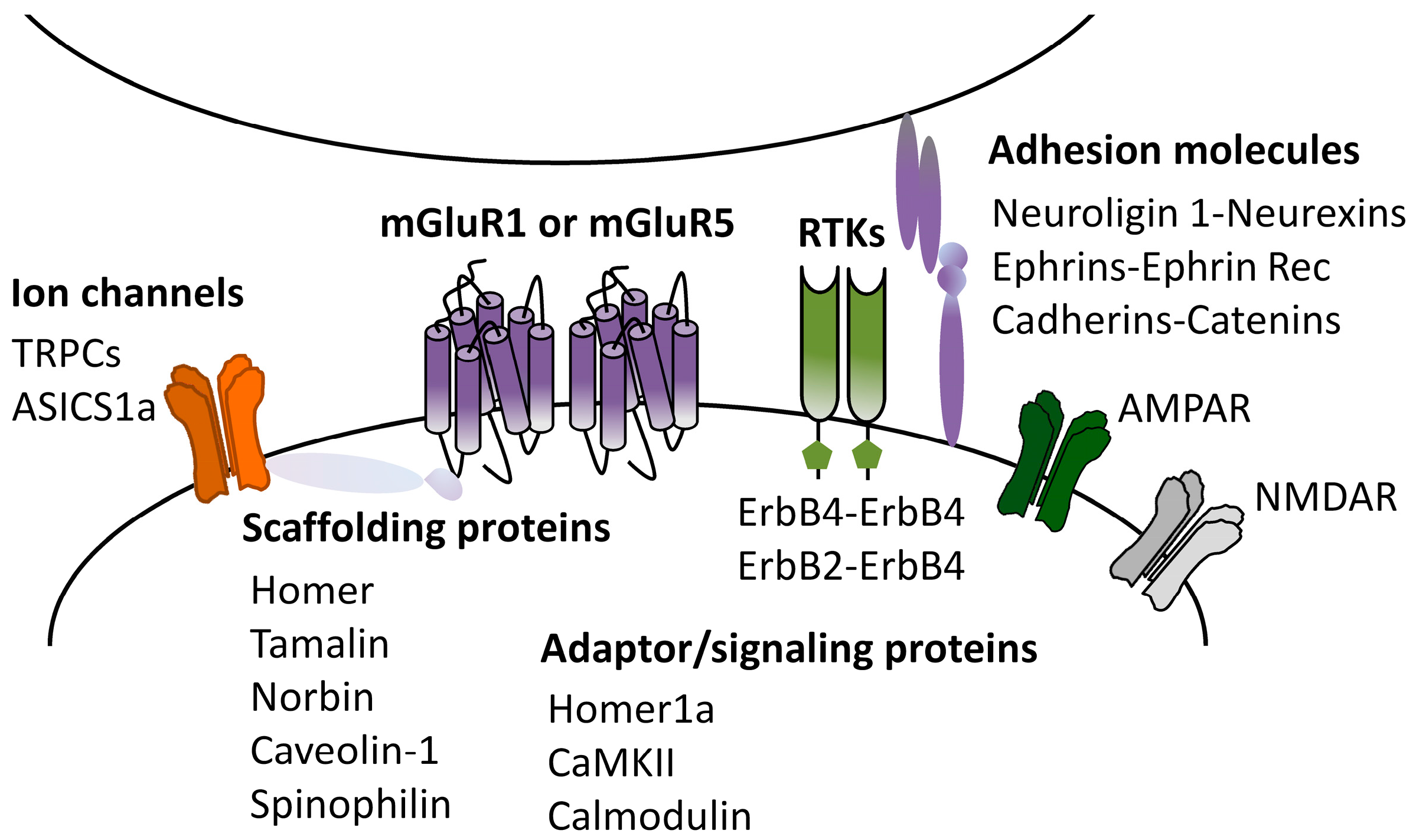 Cells 12 01588 g003 Cells 12 01588 g003