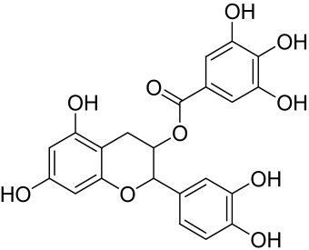Cells 12 01671 i007 Cells 12 01671 i007