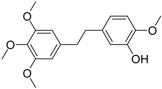Cells 12 01671 i008 Cells 12 01671 i008