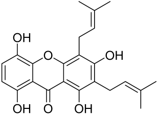Cells 12 01671 i009 Cells 12 01671 i009