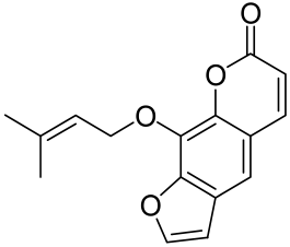 Cells 12 01671 i012 Cells 12 01671 i012