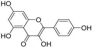 Cells 12 01671 i013 Cells 12 01671 i013
