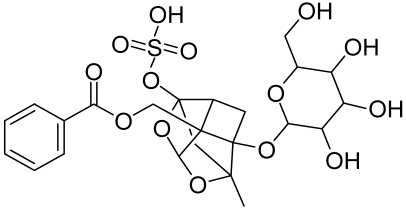 Cells 12 01671 i017 Cells 12 01671 i017