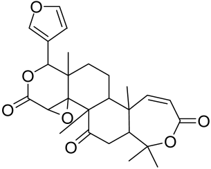 Cells 12 01671 i021 Cells 12 01671 i021