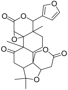 Cells 12 01671 i022 Cells 12 01671 i022