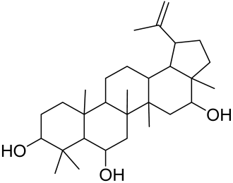Cells 12 01671 i032 Cells 12 01671 i032