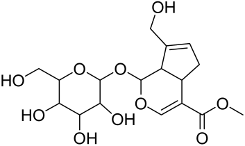 Cells 12 01671 i033 Cells 12 01671 i033