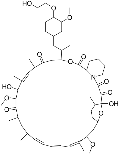 Cells 12 01671 i036 Cells 12 01671 i036