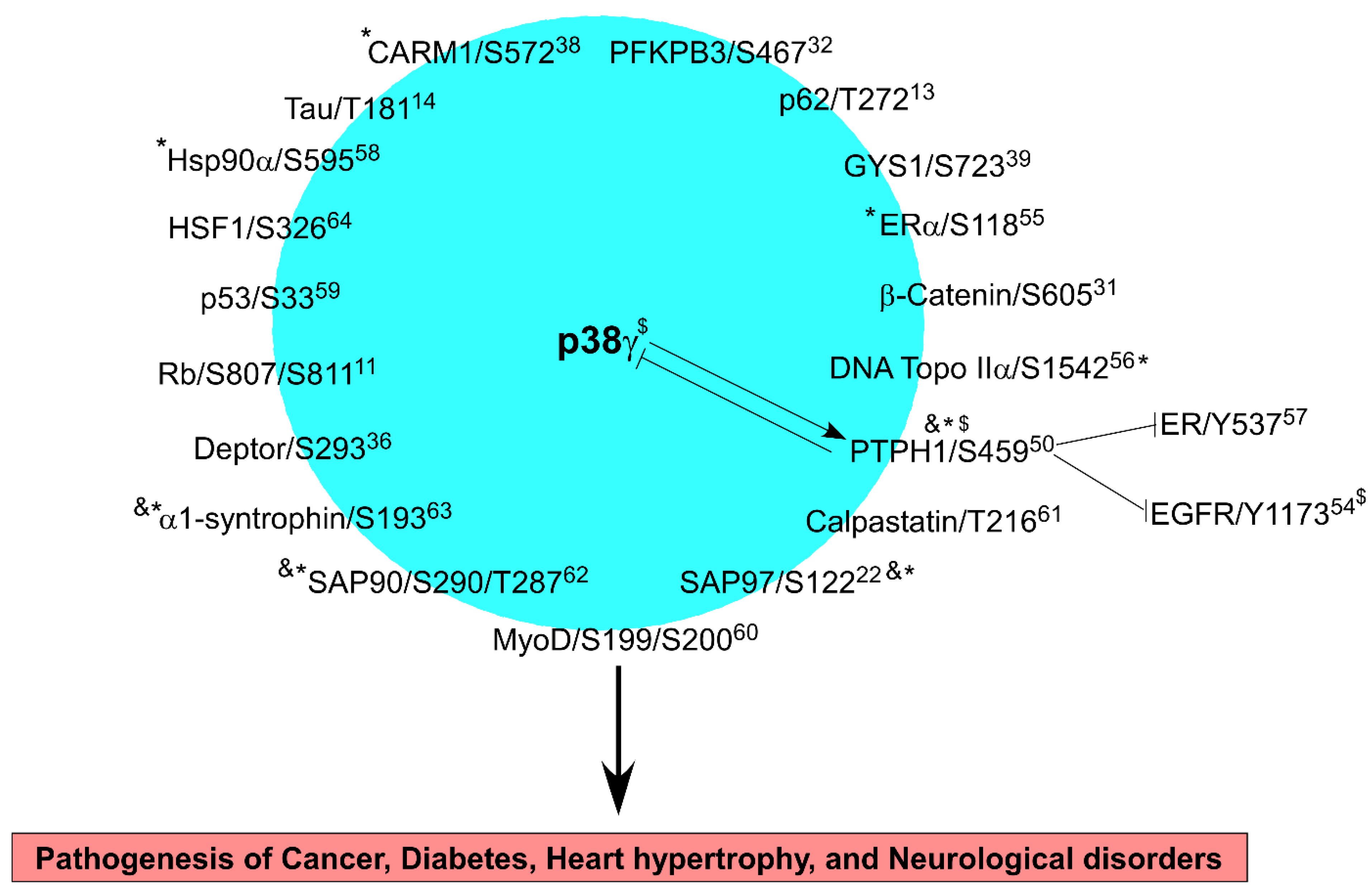 Cells 12 01674 g001 Cells 12 01674 g001