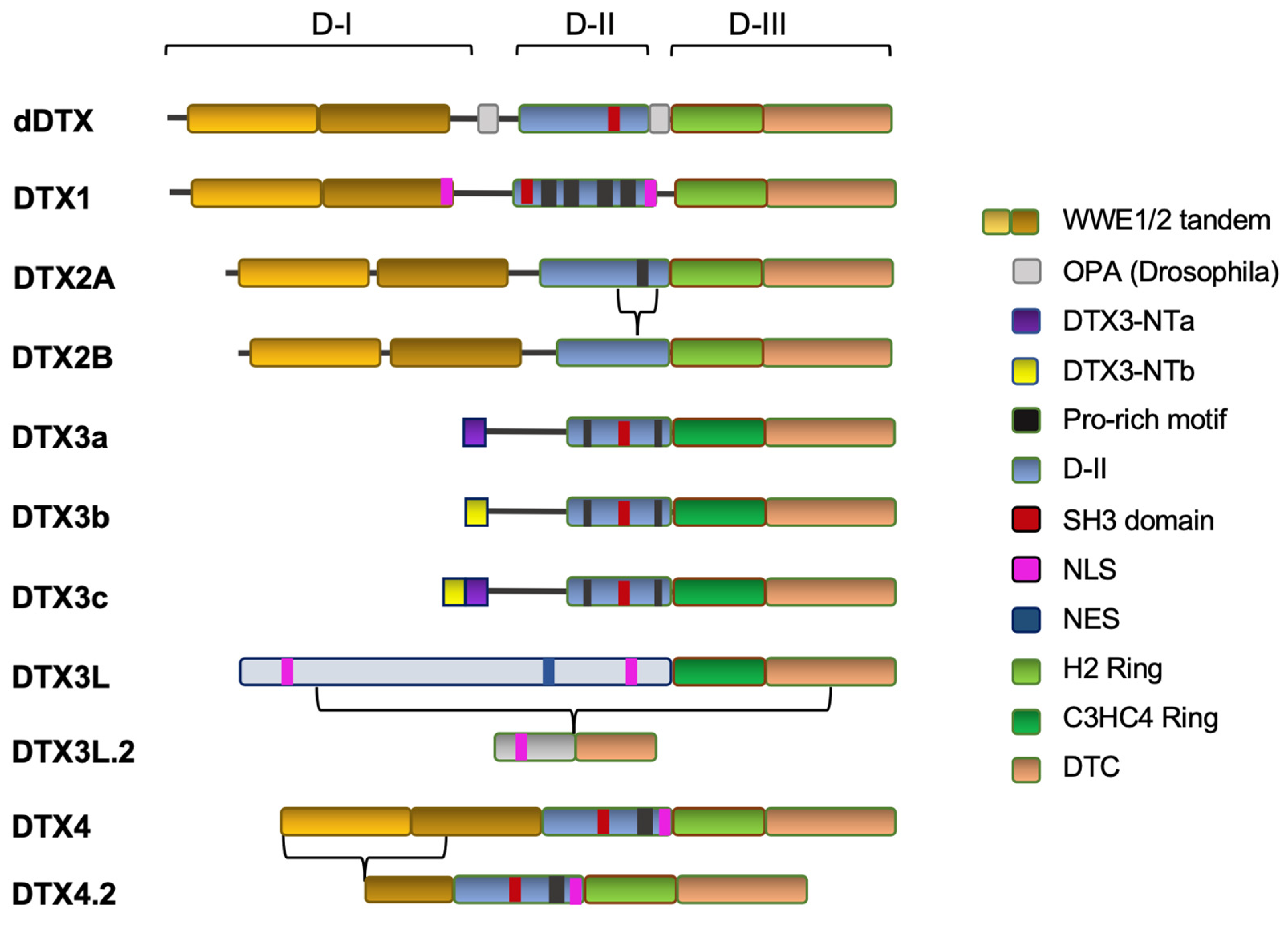 Cells 12 01680 g001 Cells 12 01680 g001