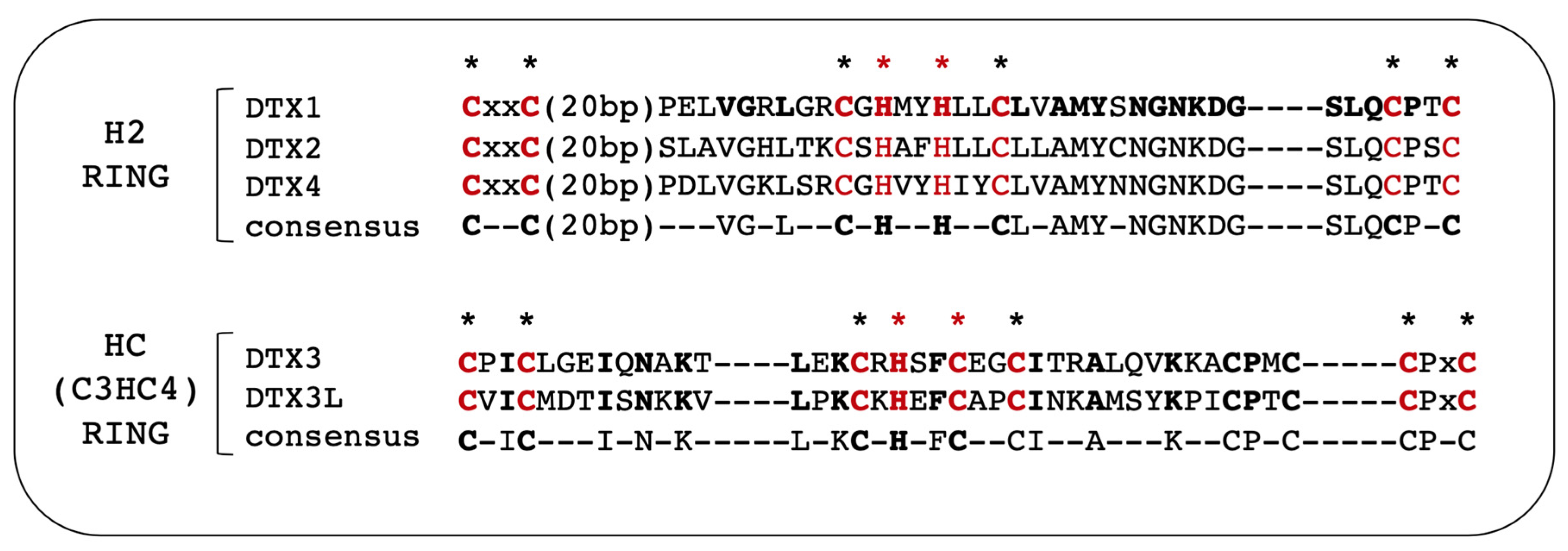 Cells 12 01680 g002 Cells 12 01680 g002