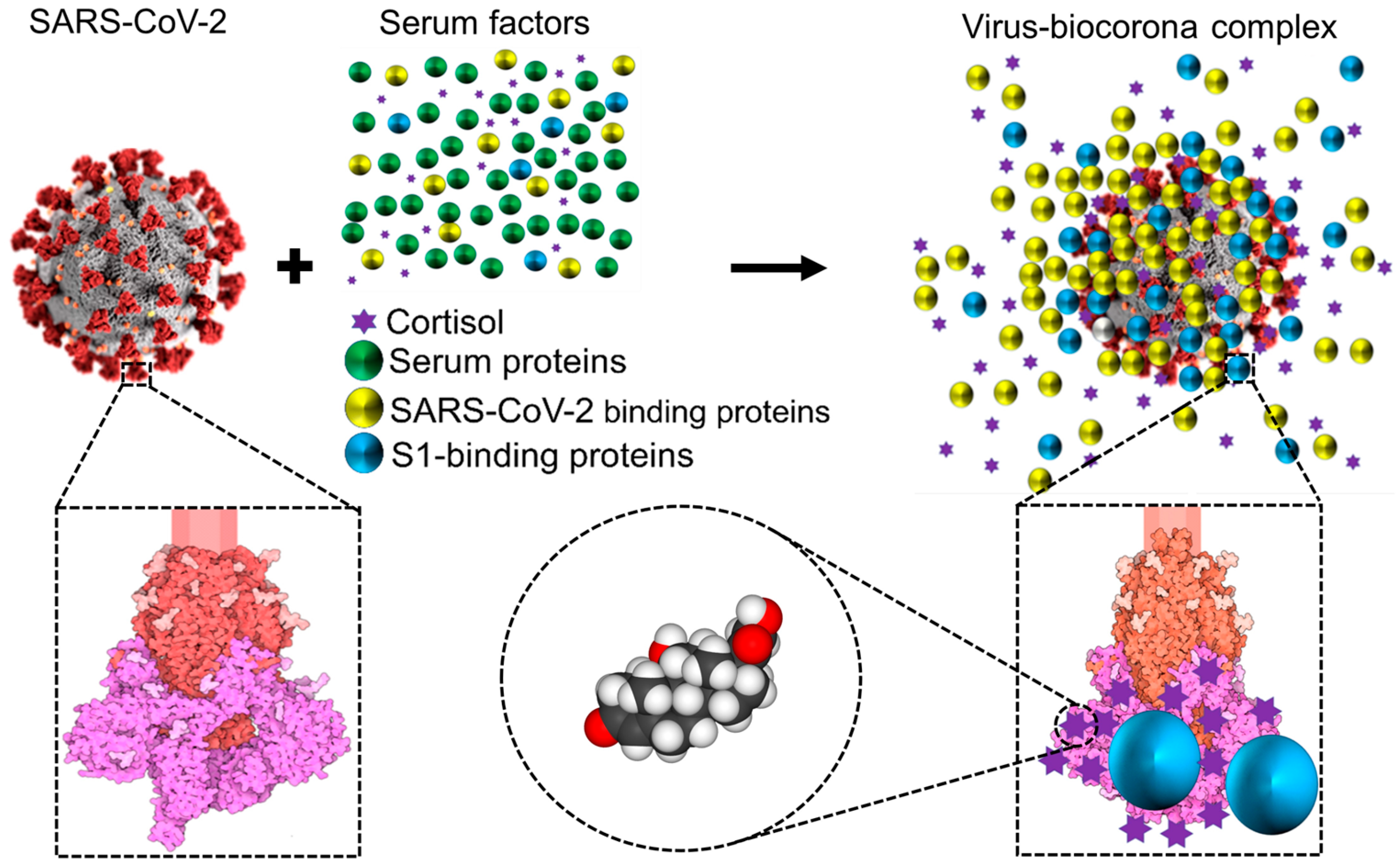 Cells 12 01699 g003 Cells 12 01699 g003