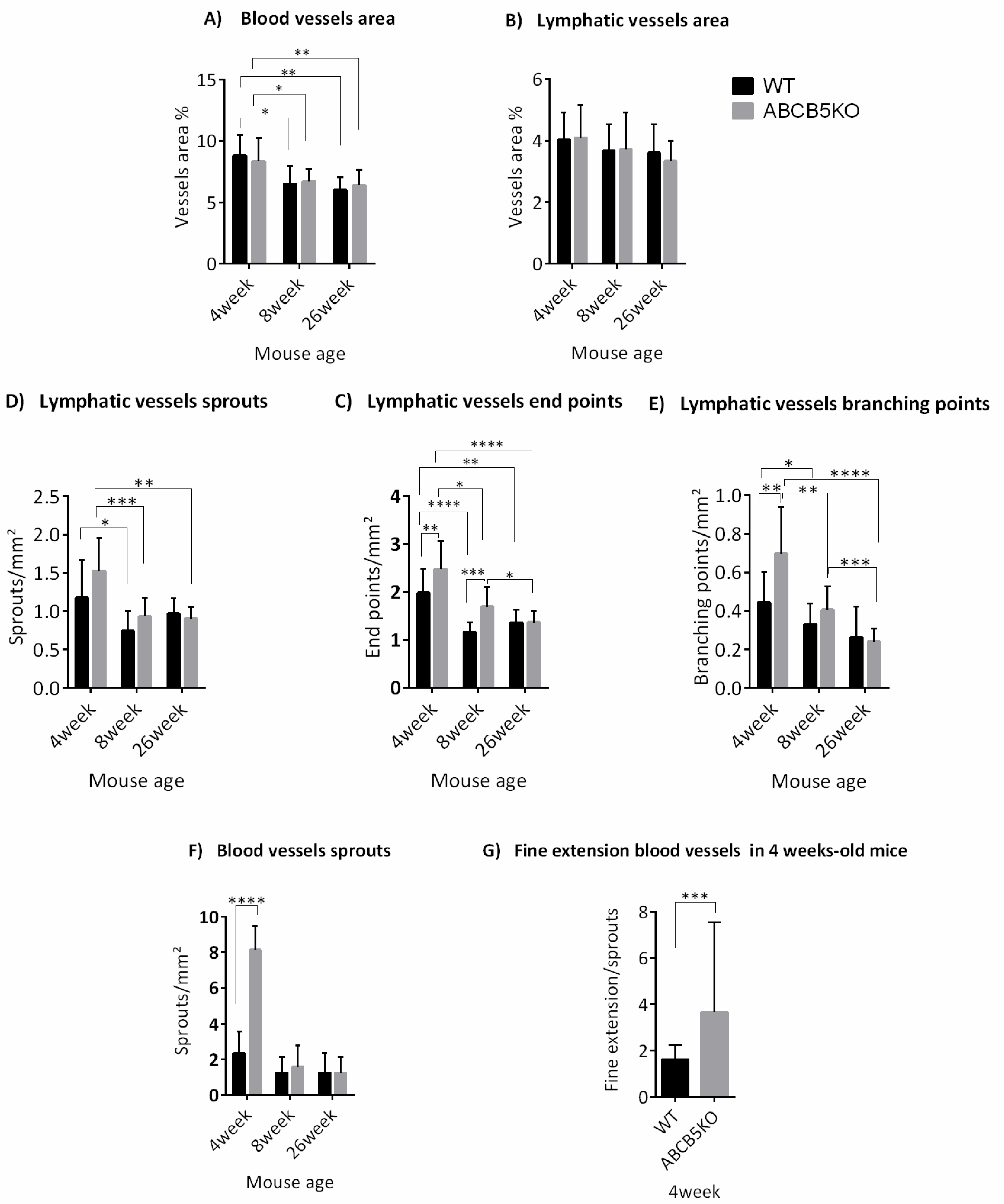 Cells 12 01731 g002 Cells 12 01731 g002