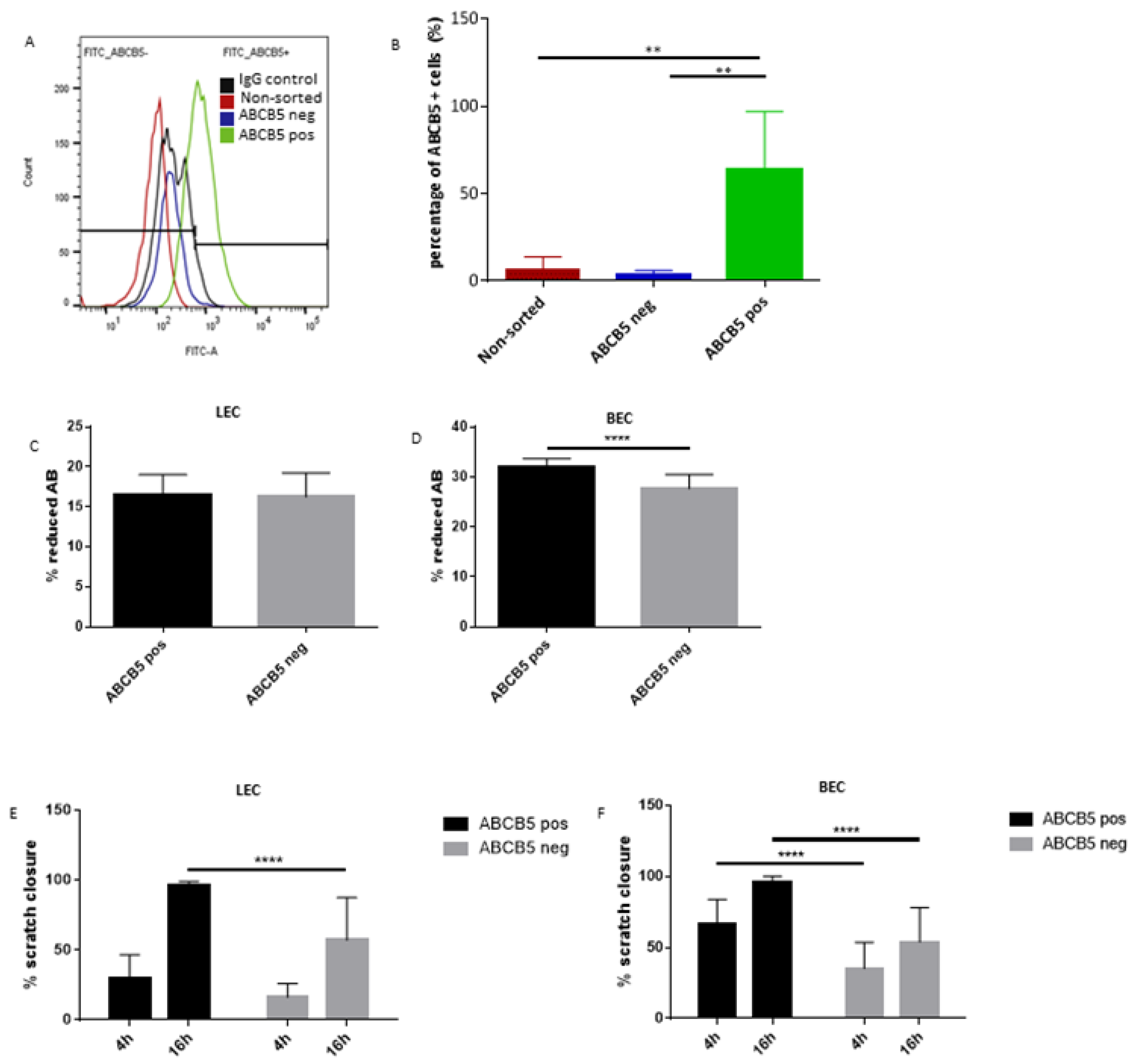 Cells 12 01731 g006 Cells 12 01731 g006