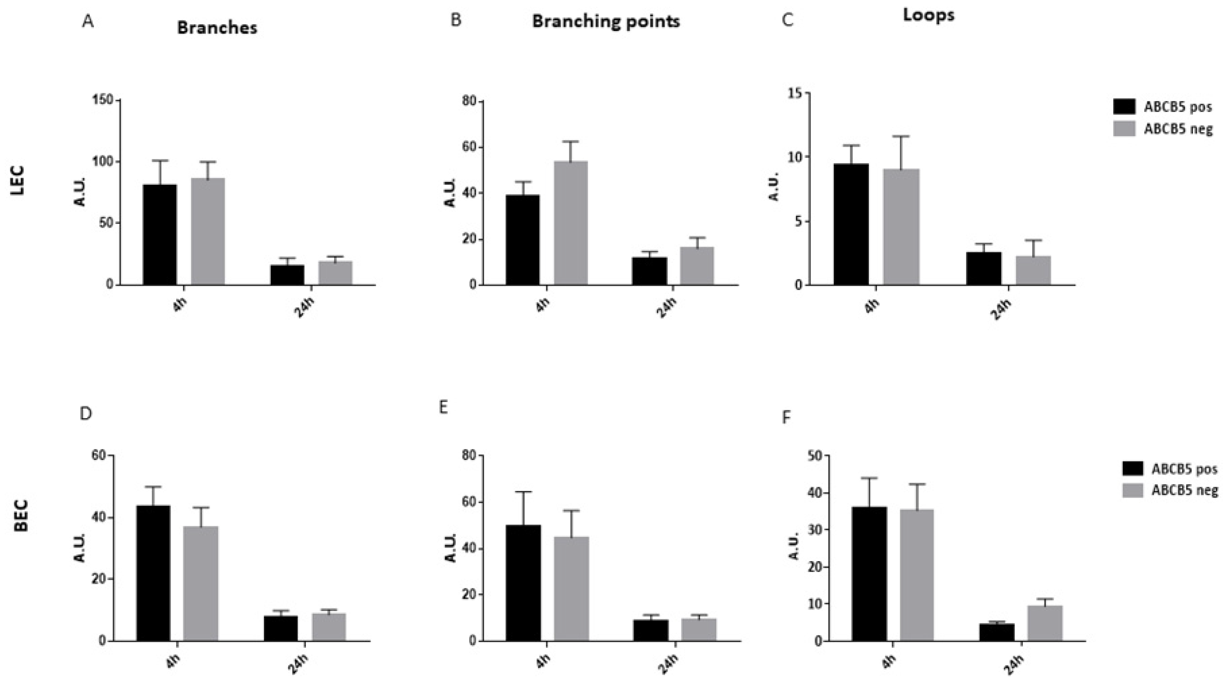 Cells 12 01731 g007 Cells 12 01731 g007