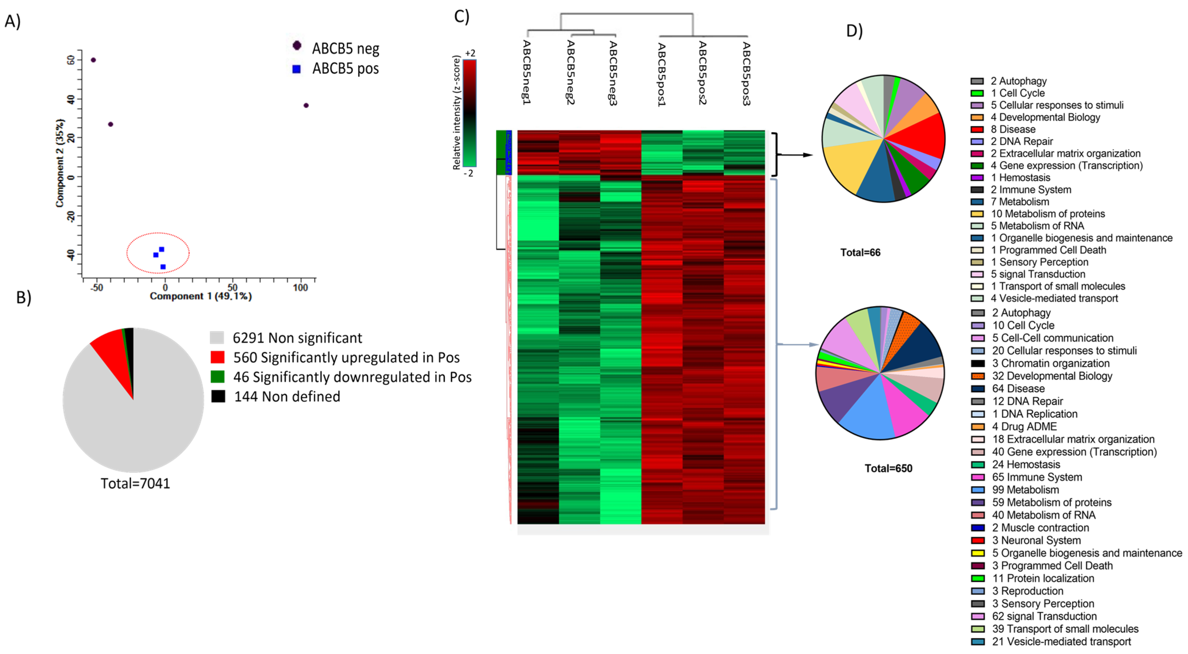 Cells 12 01731 g008 Cells 12 01731 g008