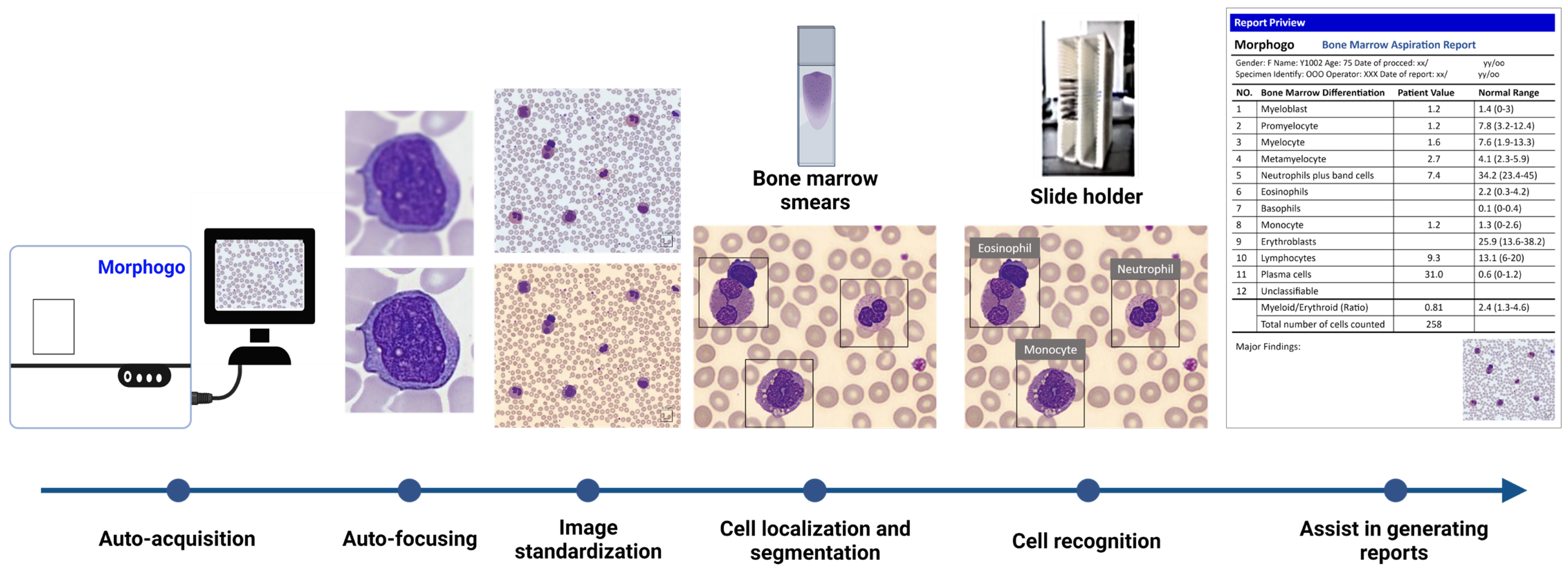 Cells 12 01755 g002 Cells 12 01755 g002