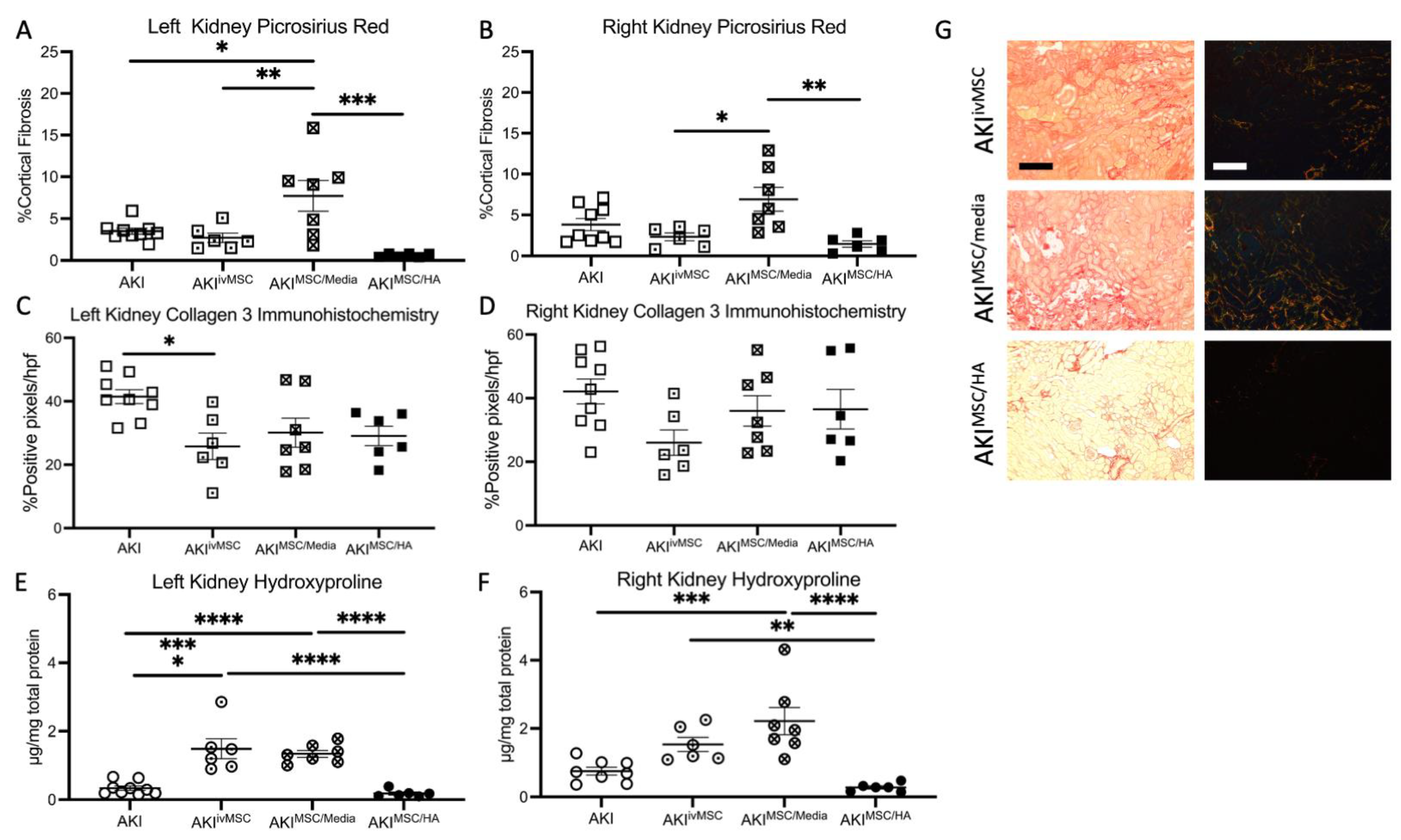 Cells 12 01771 g004 Cells 12 01771 g004