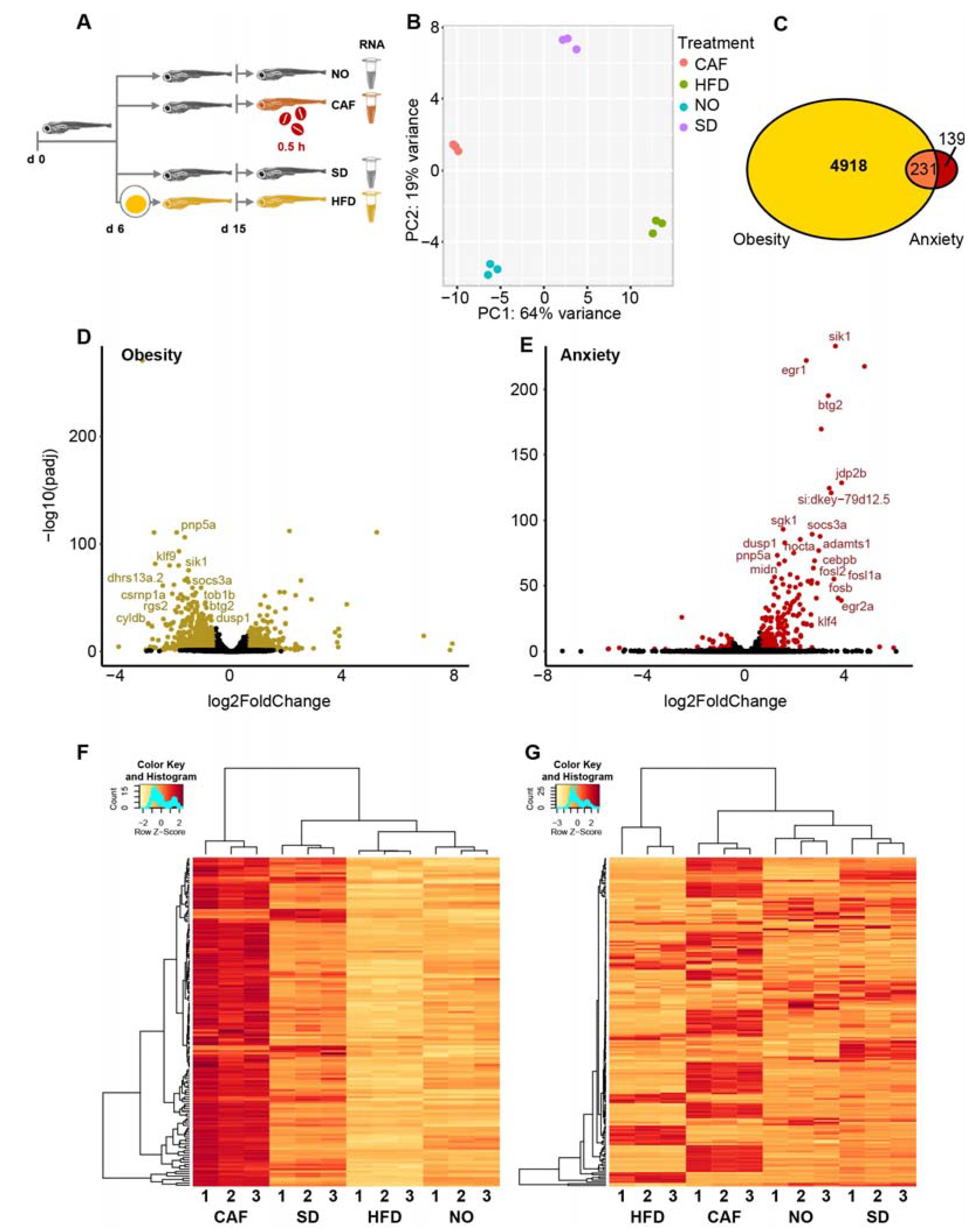 Cells 12 01794 g001 Cells 12 01794 g001