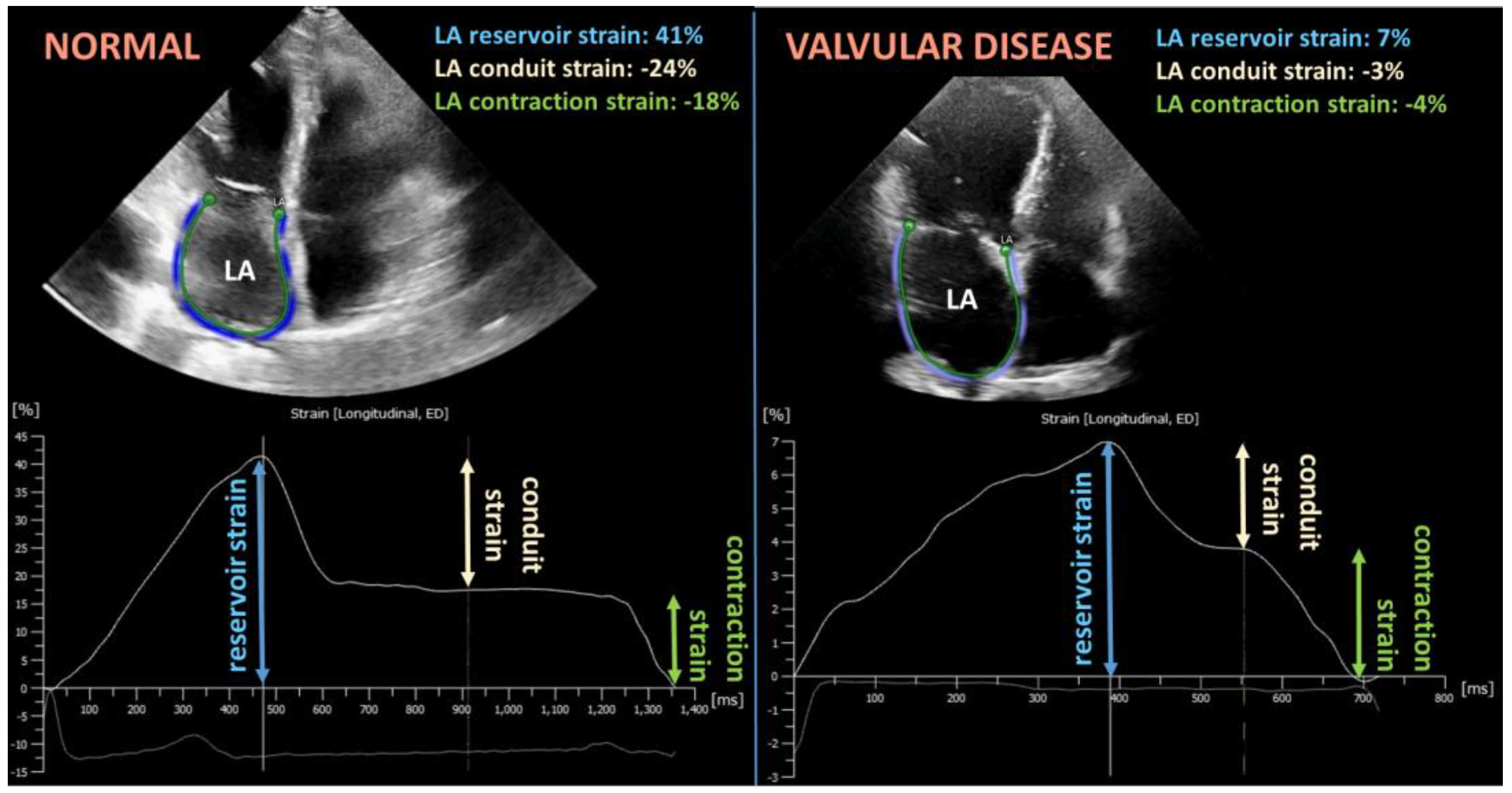 Cells 12 01796 g003 Cells 12 01796 g003