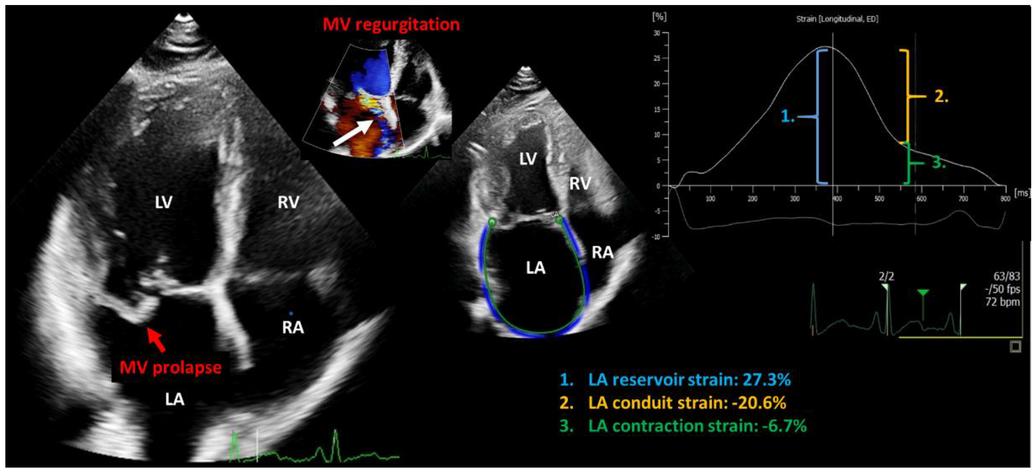 Cells 12 01796 g004 Cells 12 01796 g004