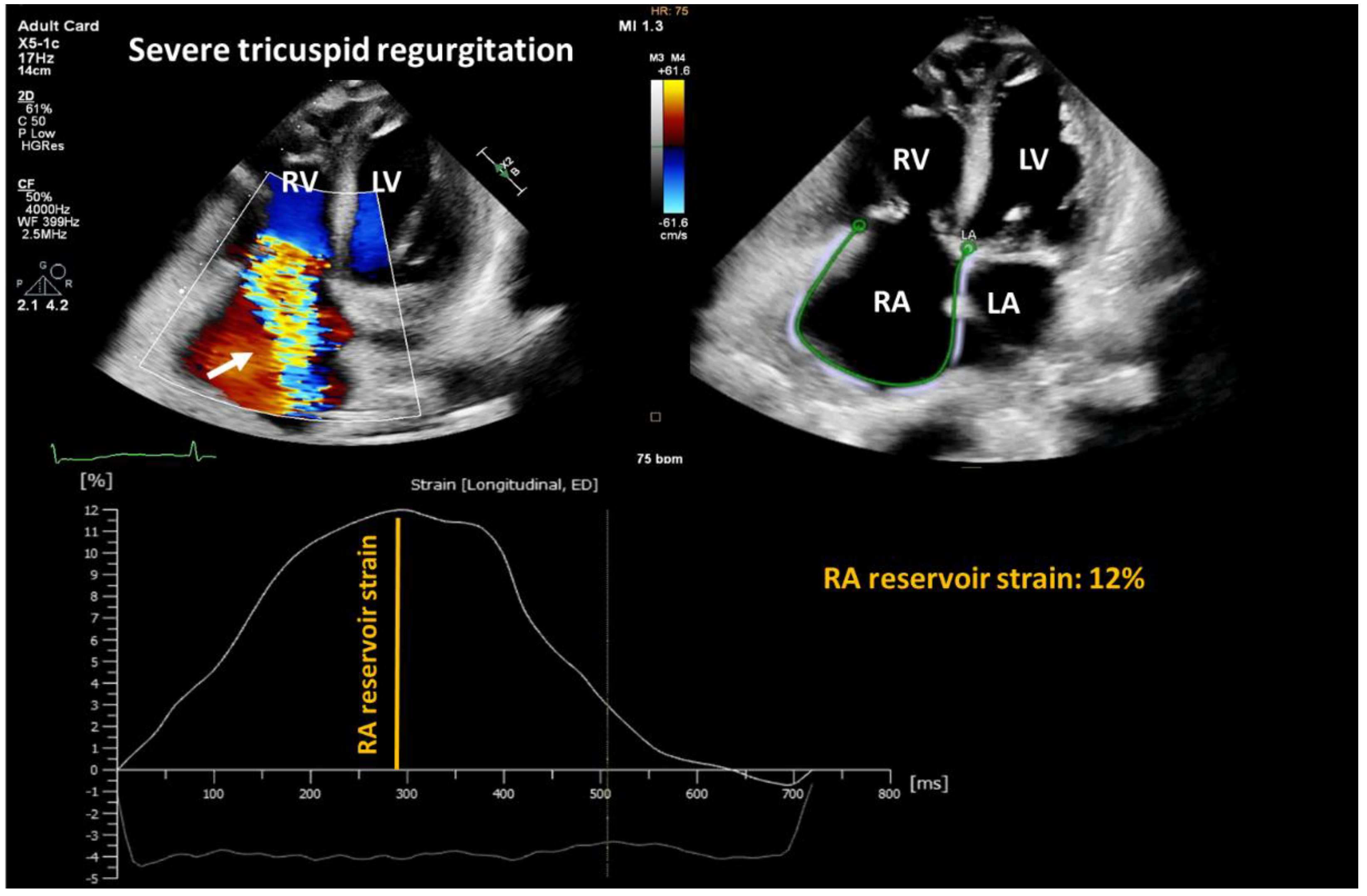 Cells 12 01796 g005 Cells 12 01796 g005