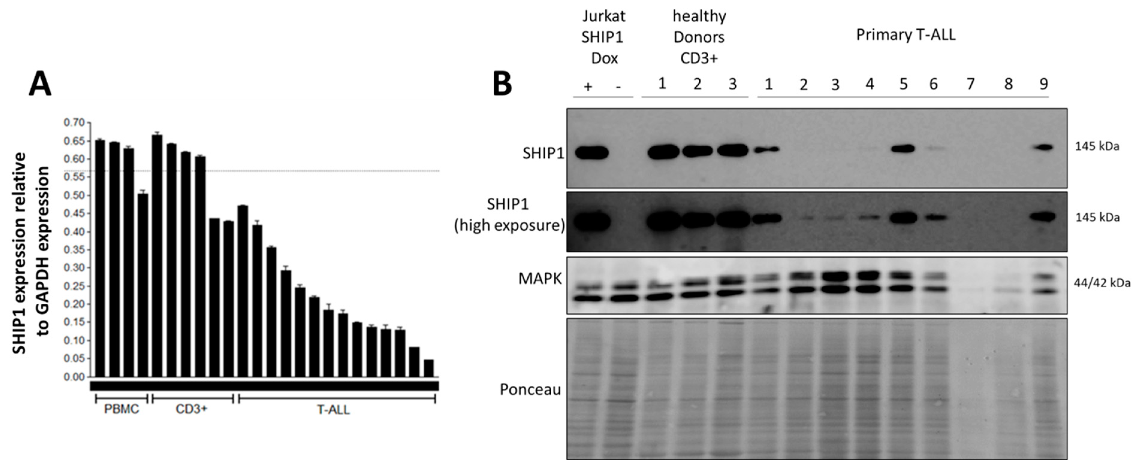 Cells 12 01798 g001 Cells 12 01798 g001