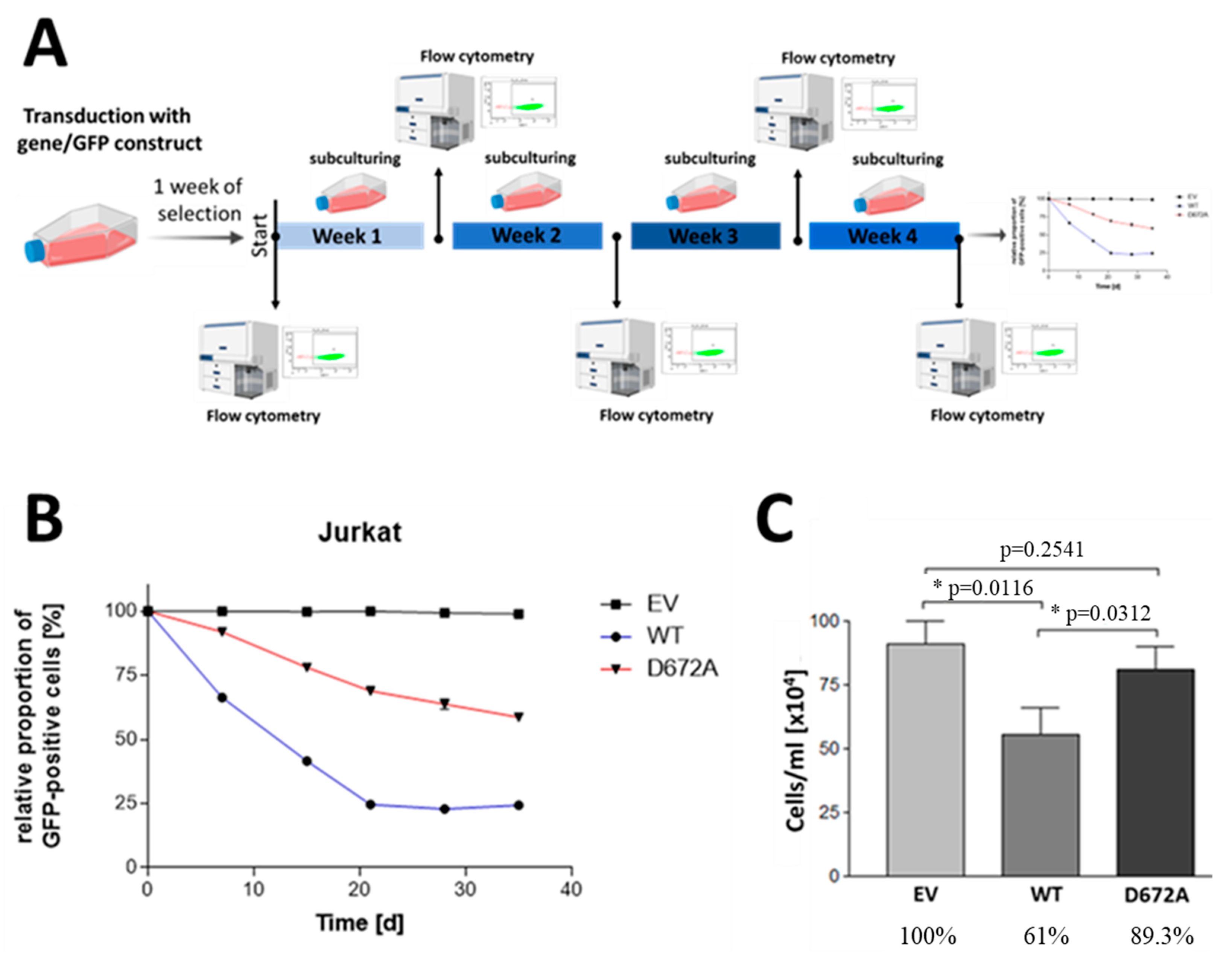 Cells 12 01798 g003 Cells 12 01798 g003