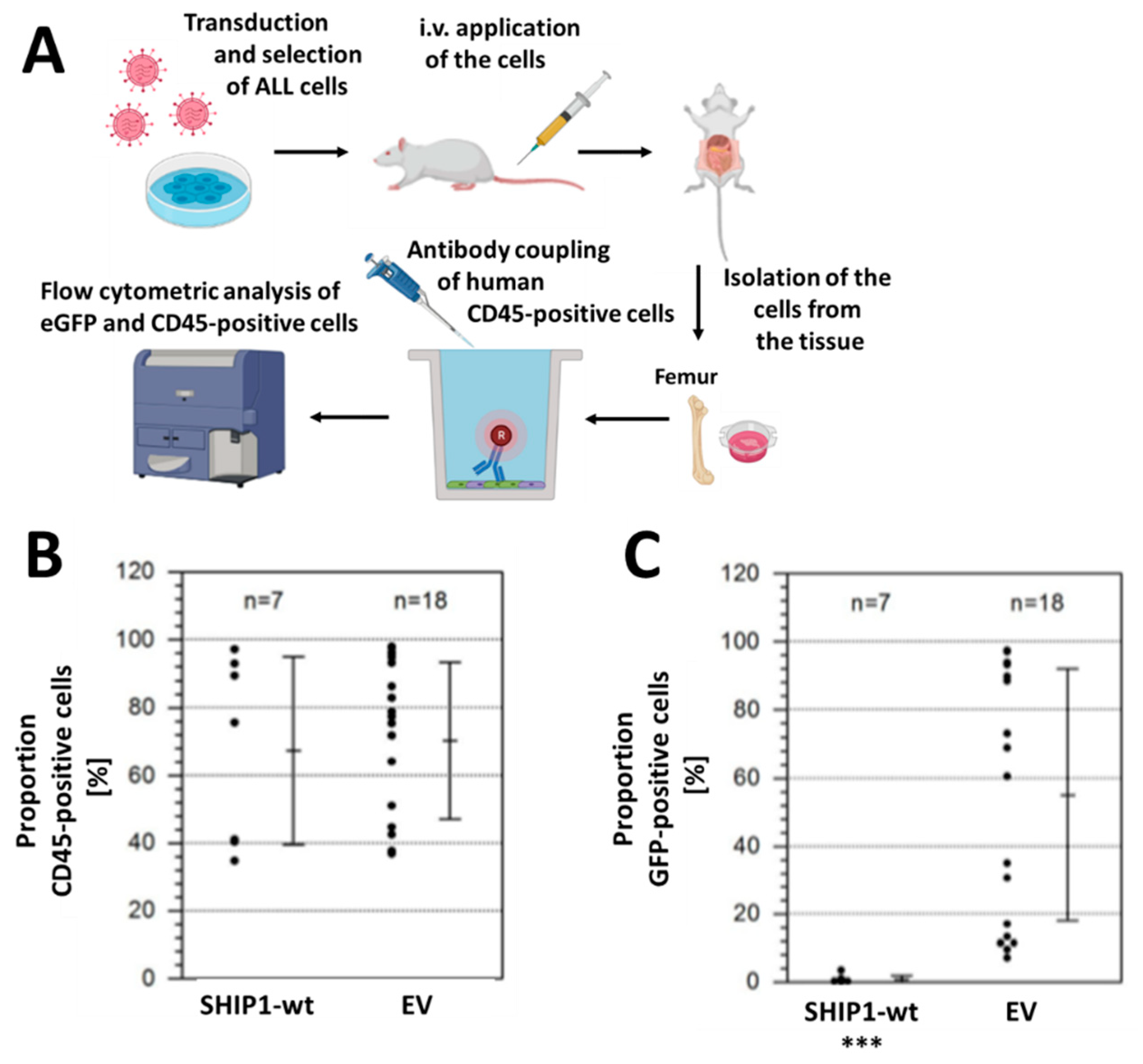 Cells 12 01798 g005 Cells 12 01798 g005