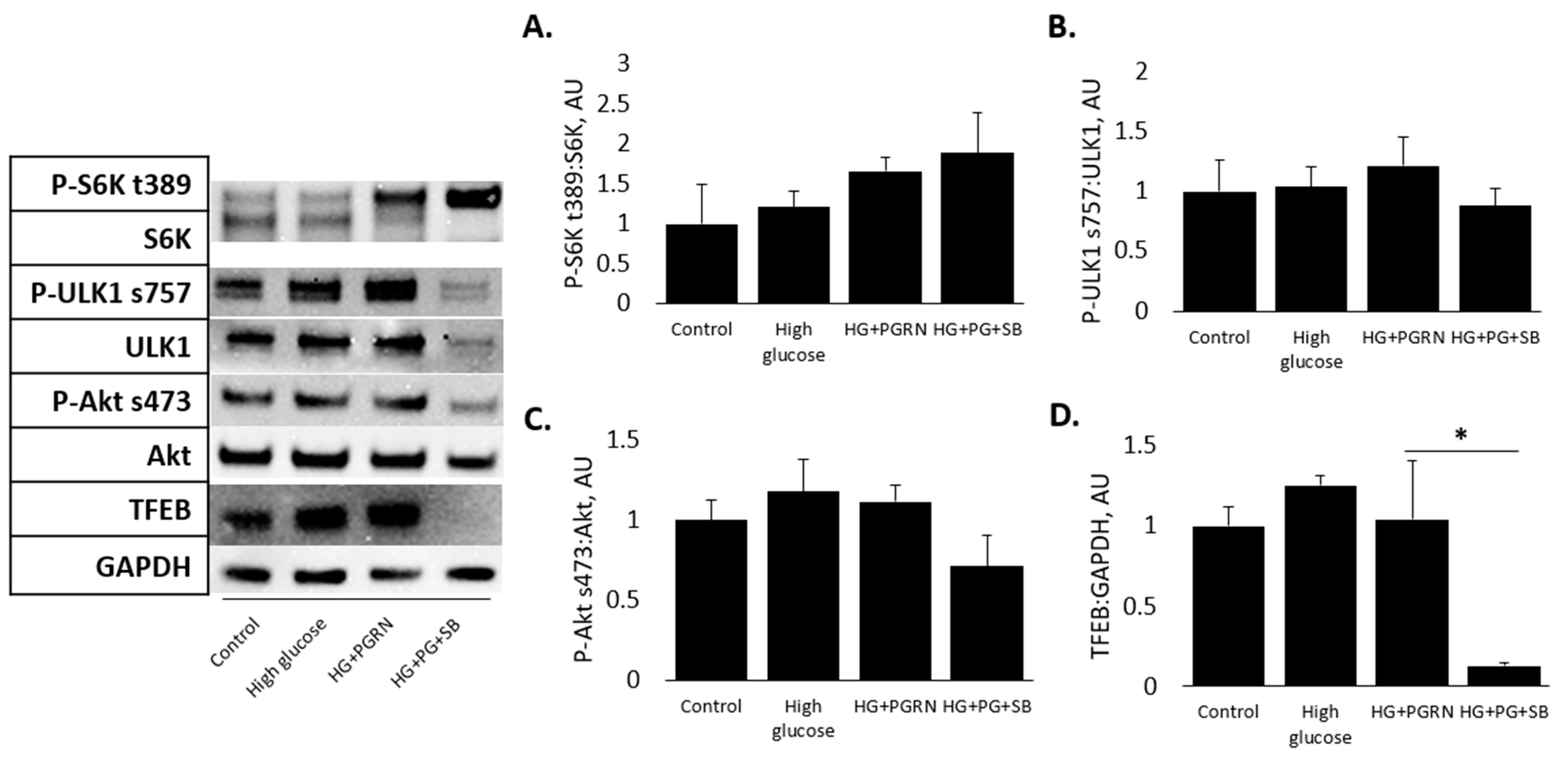 Cells 12 01803 g005 Cells 12 01803 g005