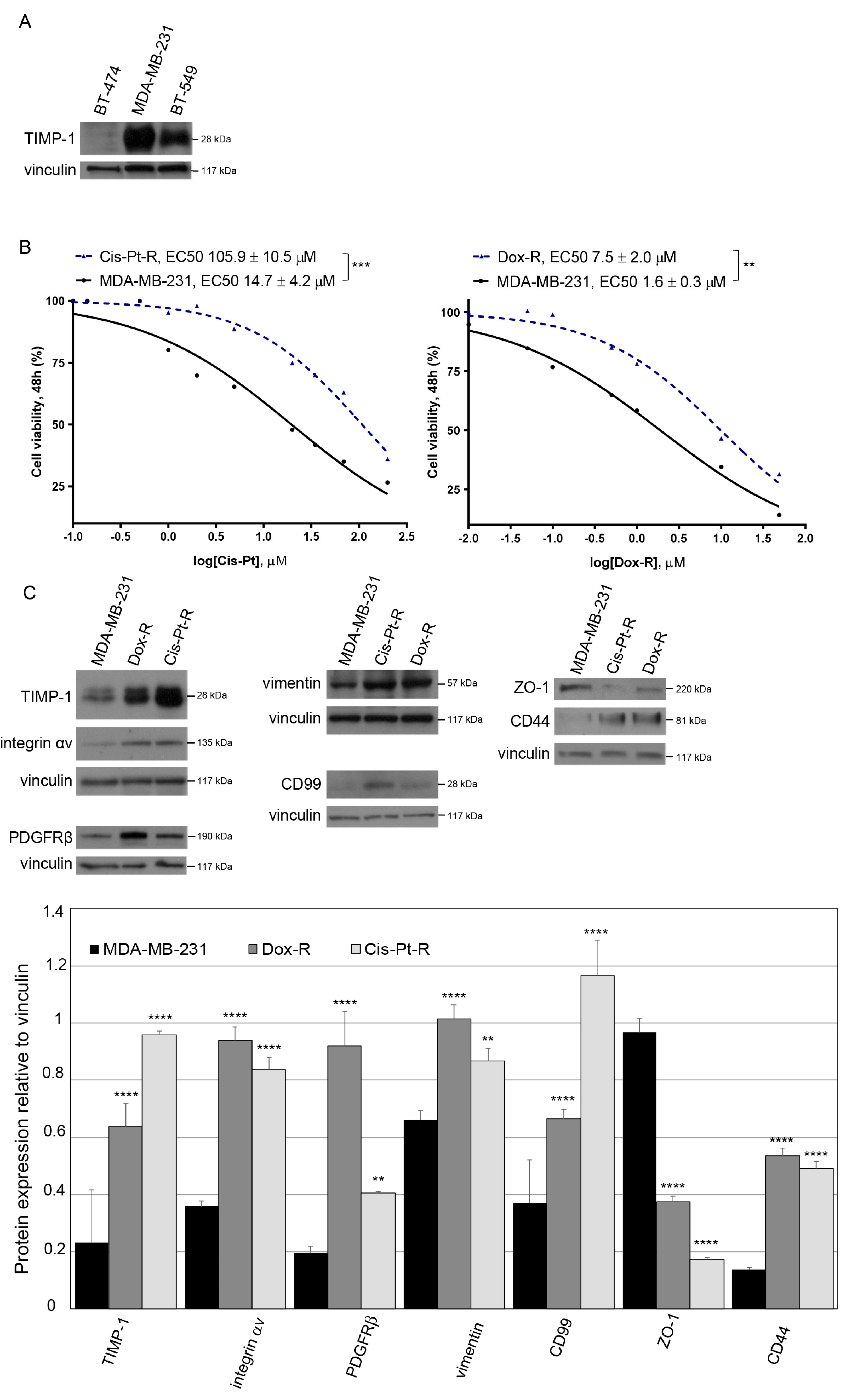 Cells 12 01809 g001 Cells 12 01809 g001