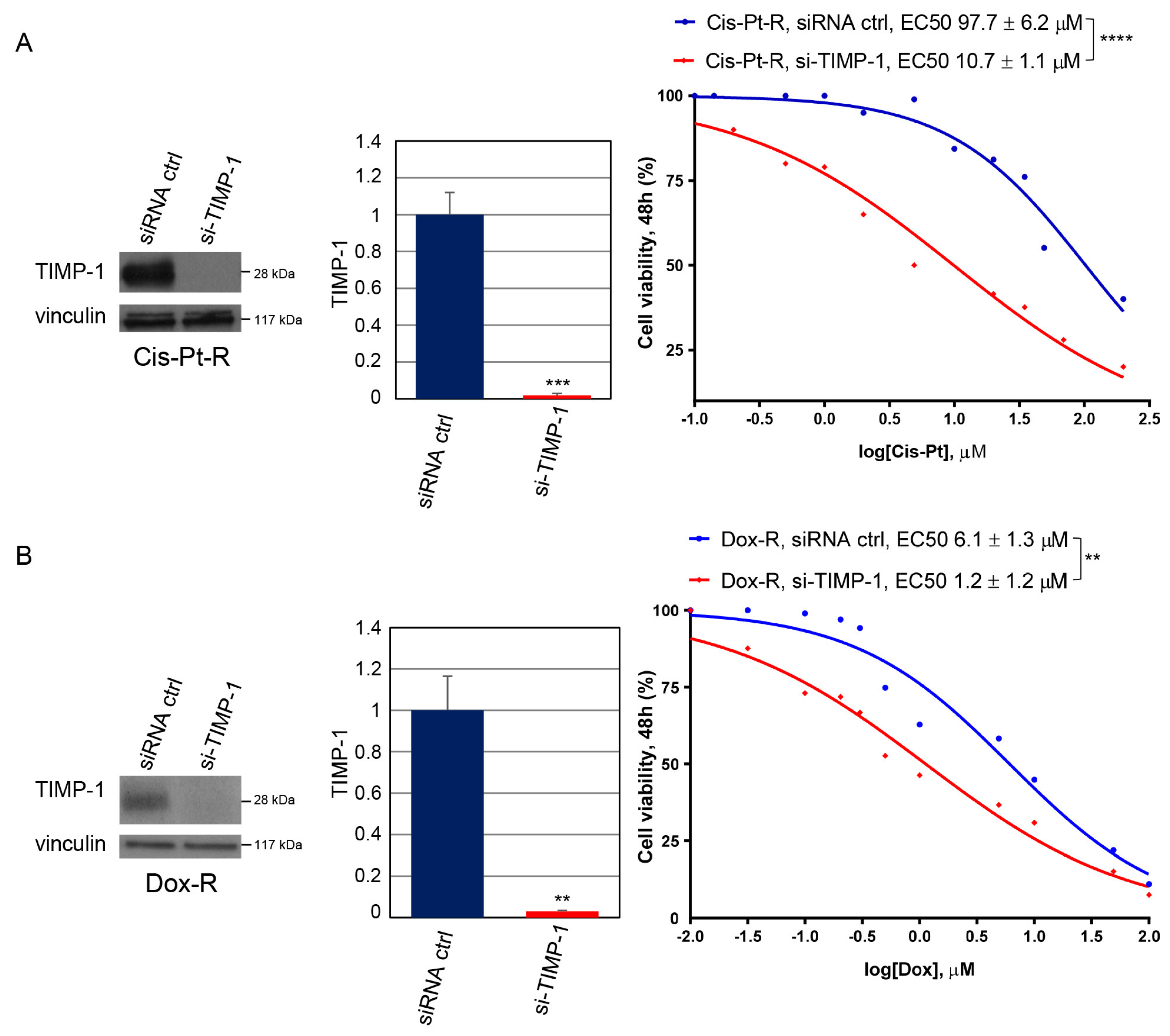 Cells 12 01809 g003 Cells 12 01809 g003