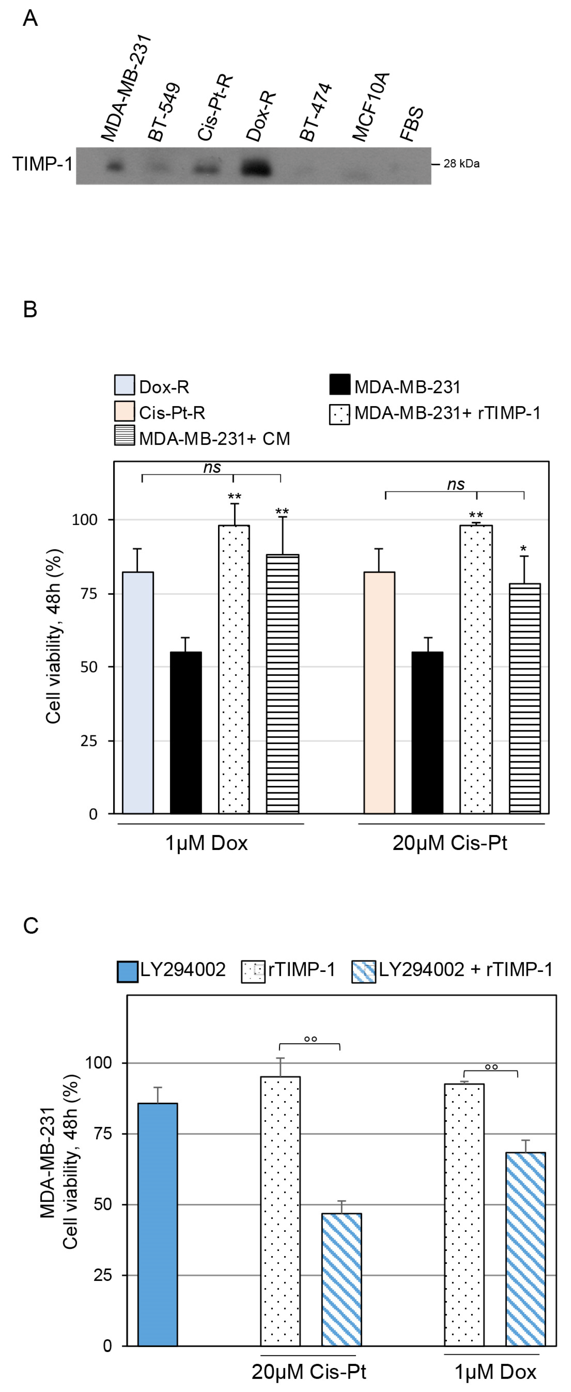 Cells 12 01809 g005 Cells 12 01809 g005