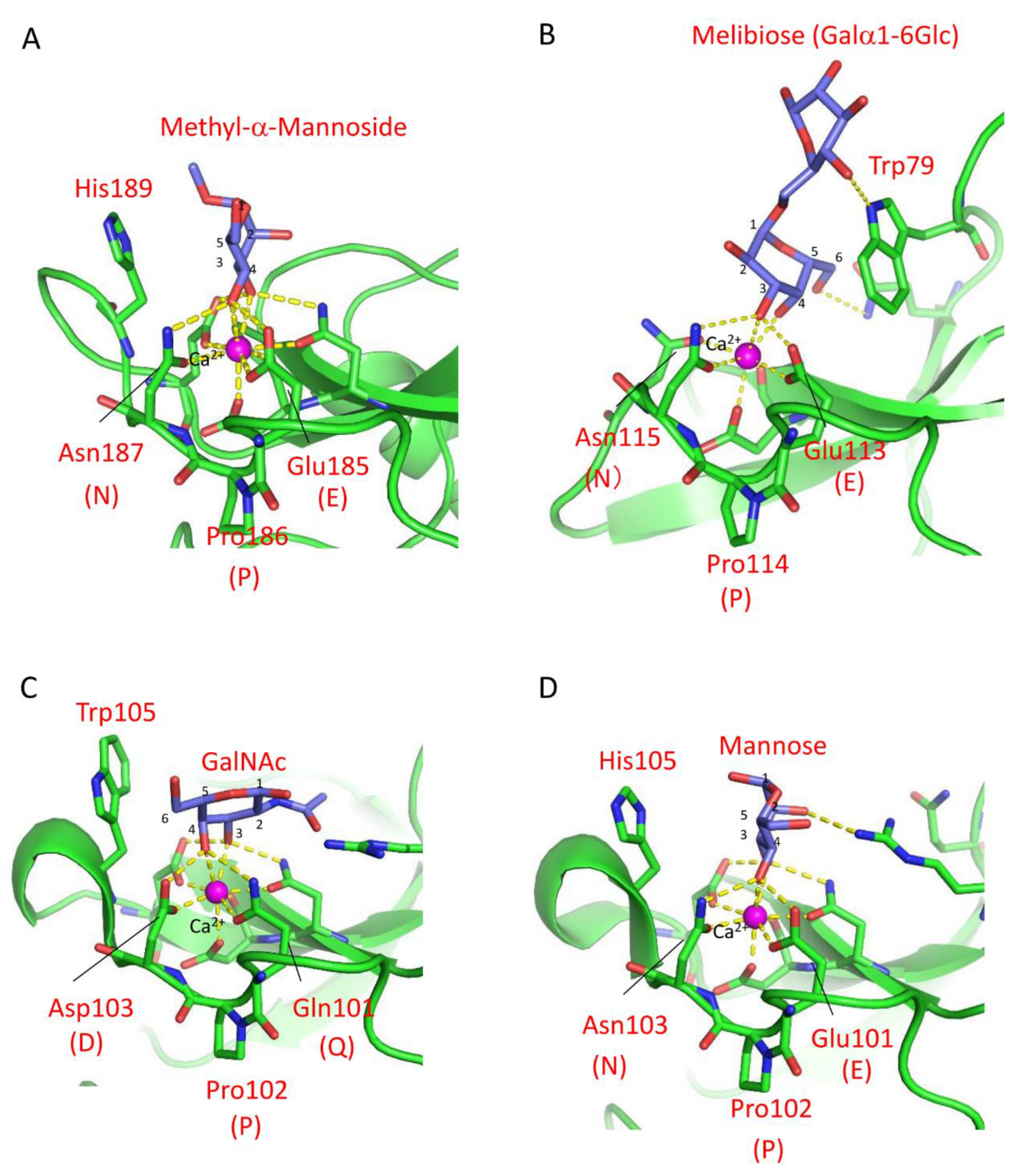 Cells 12 01814 g001 Cells 12 01814 g001