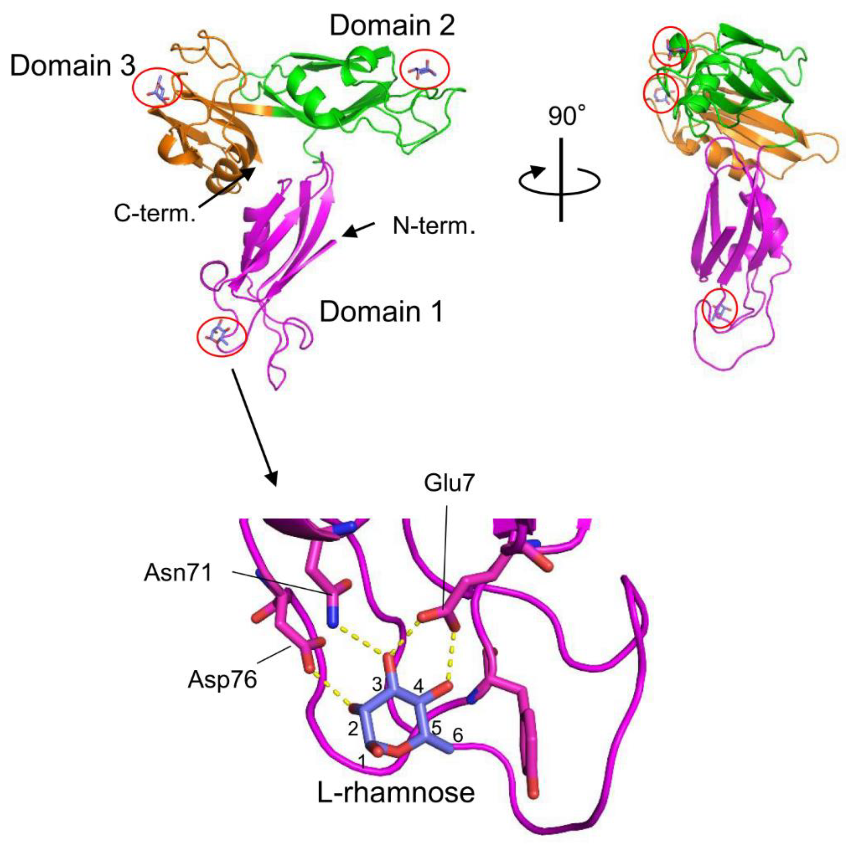 Cells 12 01814 g004 Cells 12 01814 g004