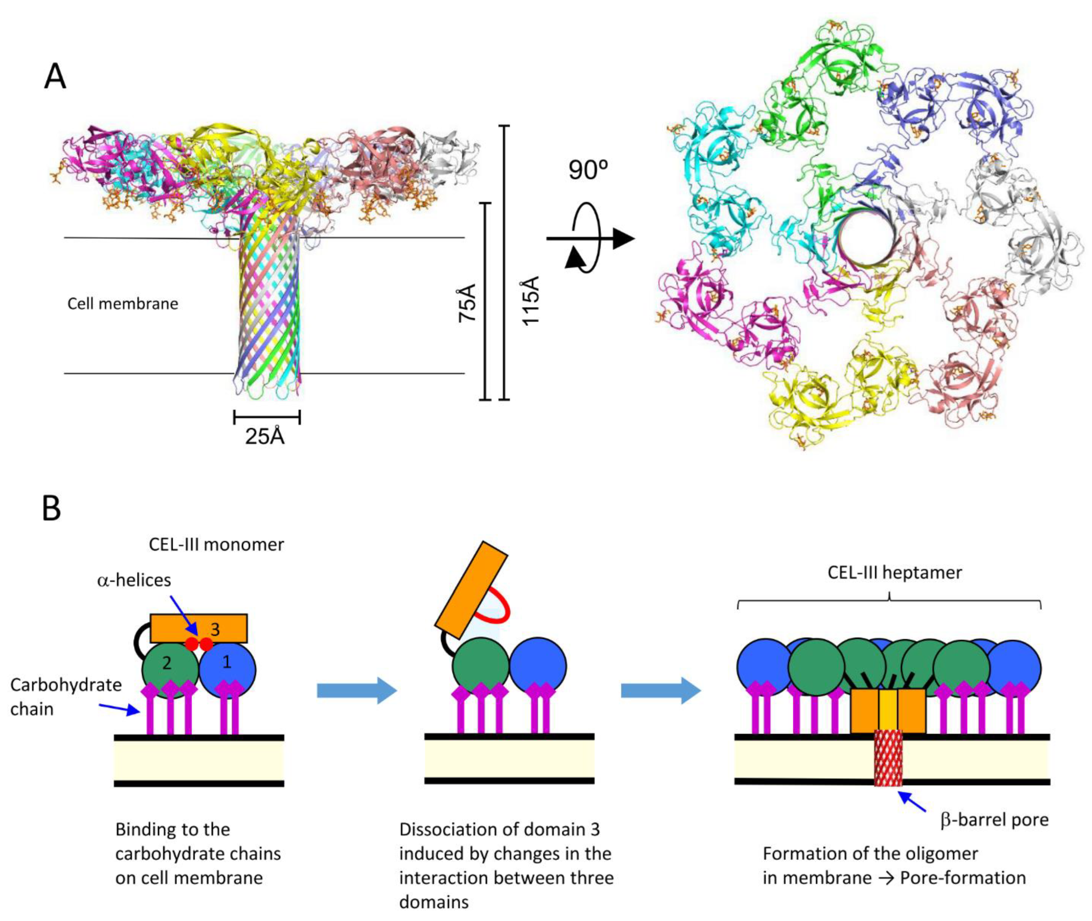 Cells 12 01814 g006 Cells 12 01814 g006