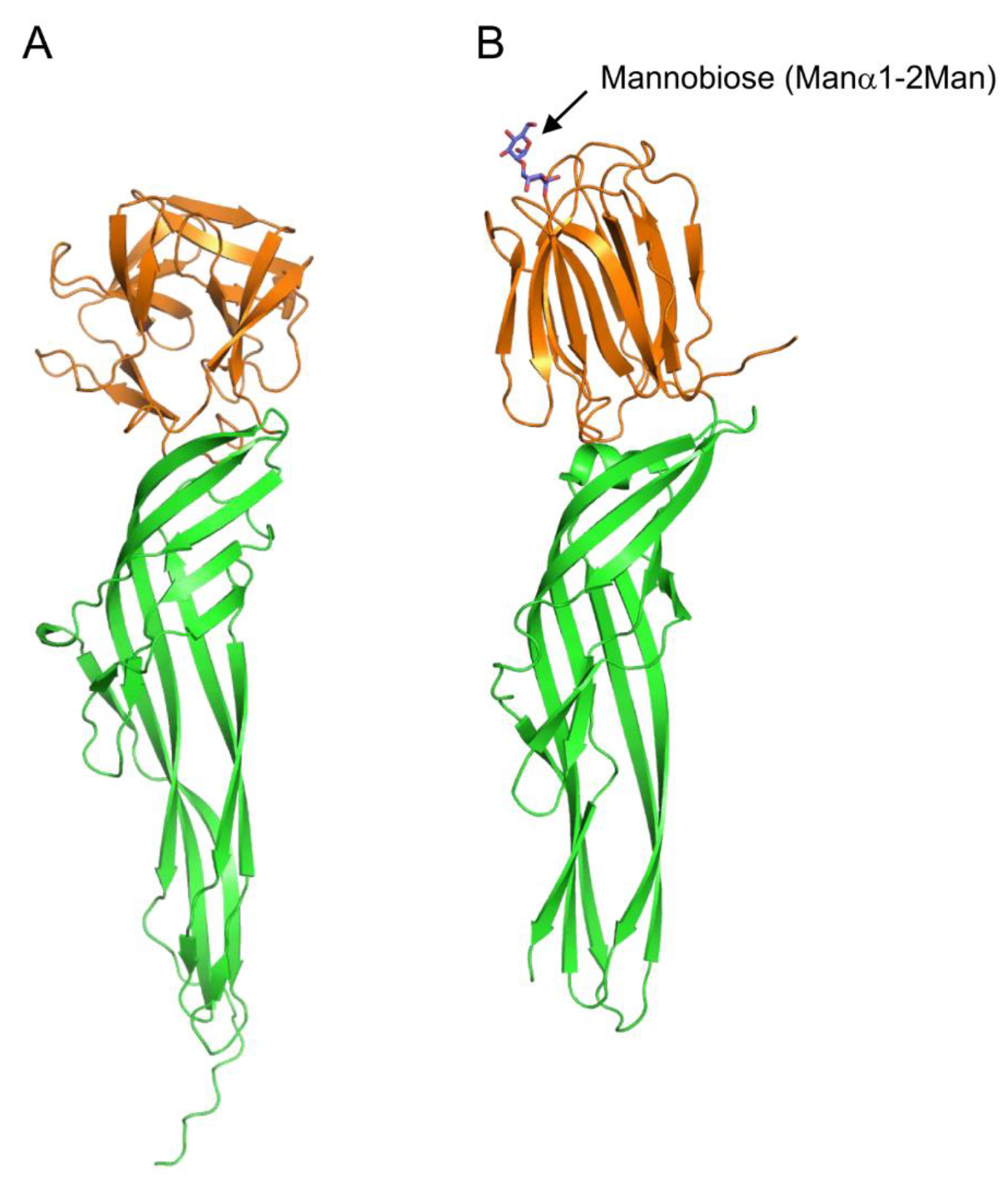 Cells 12 01814 g007 Cells 12 01814 g007
