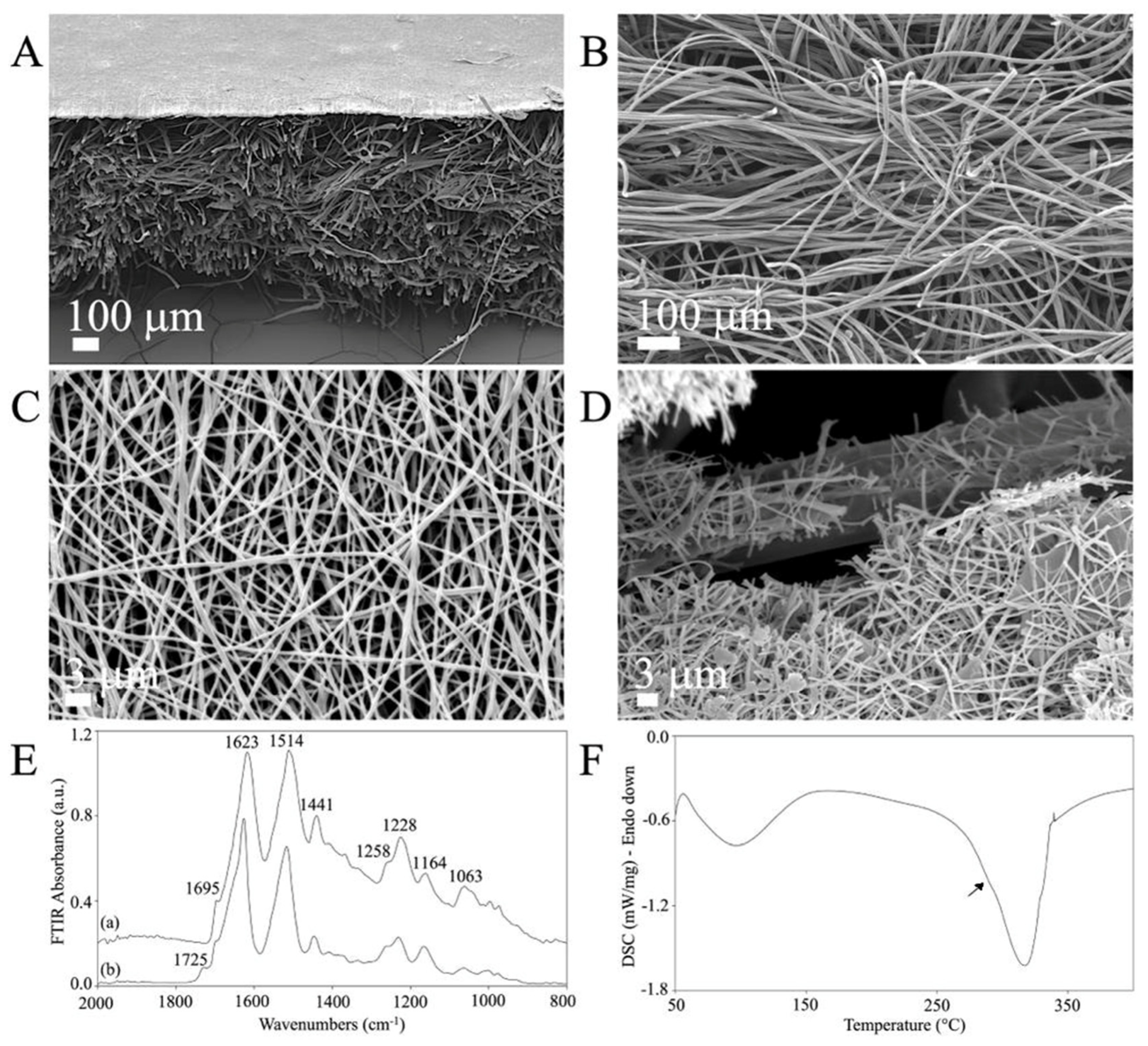 Cells 12 01827 g002 Cells 12 01827 g002