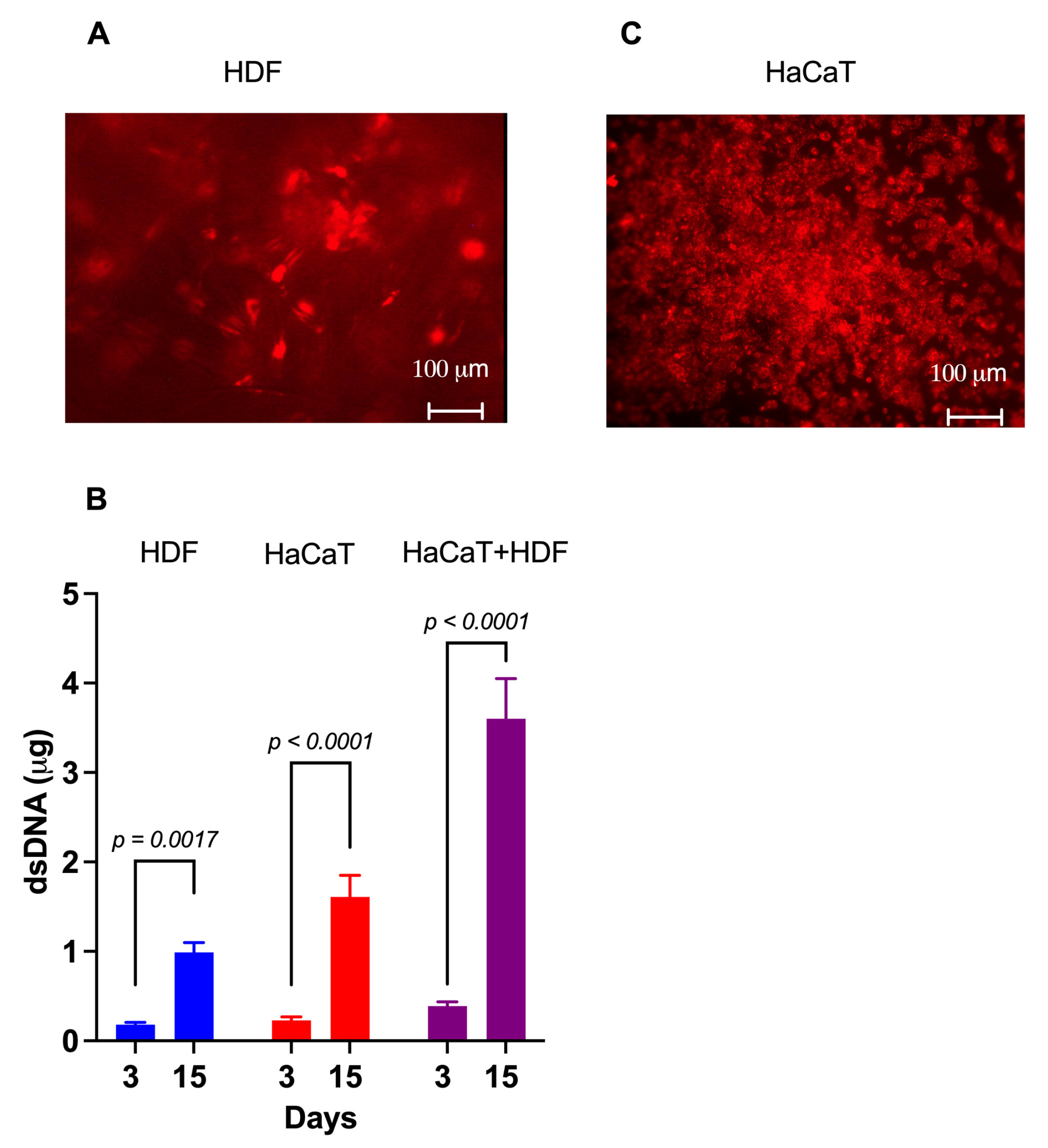 Cells 12 01827 g003 Cells 12 01827 g003
