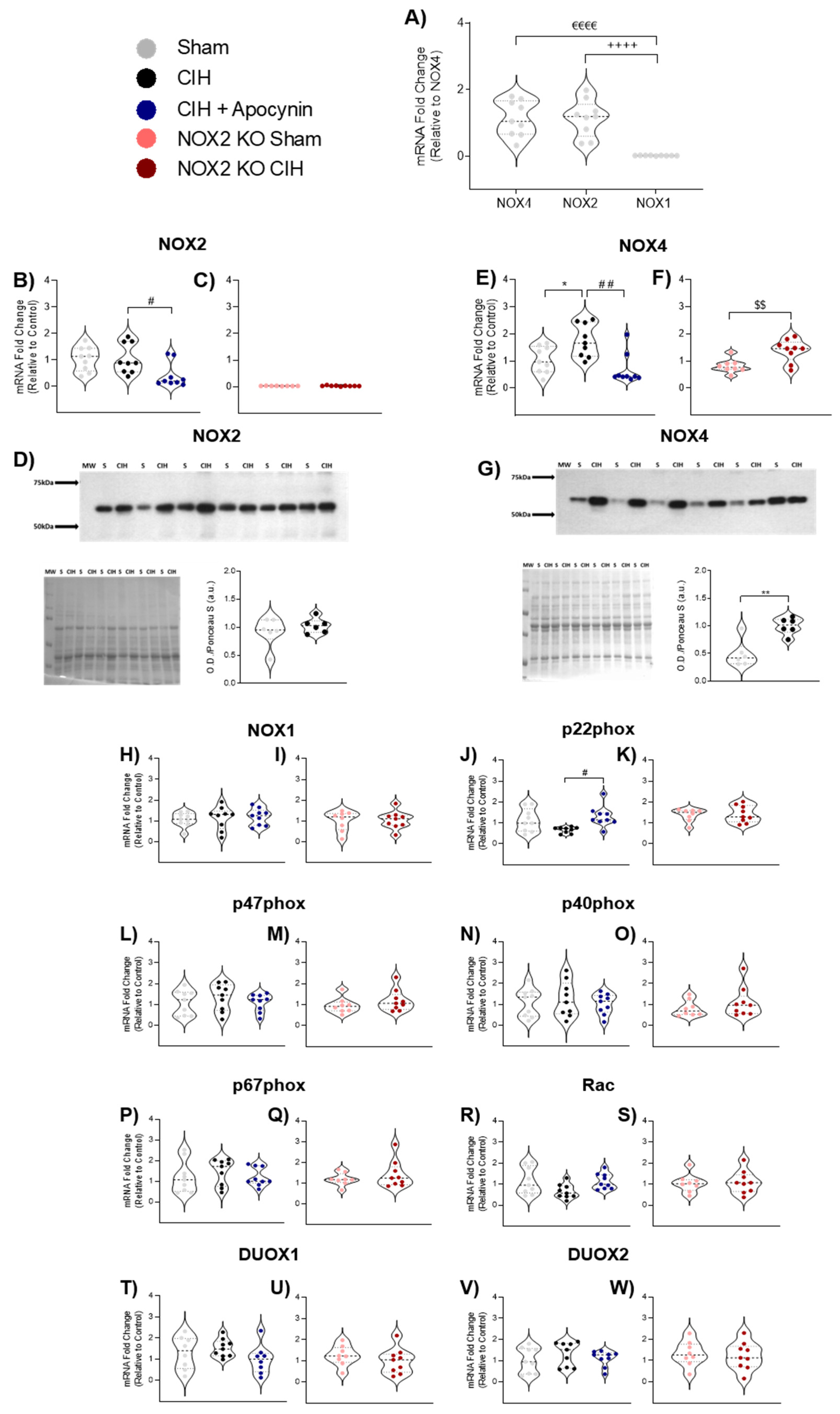 Cells 12 01834 g002 Cells 12 01834 g002