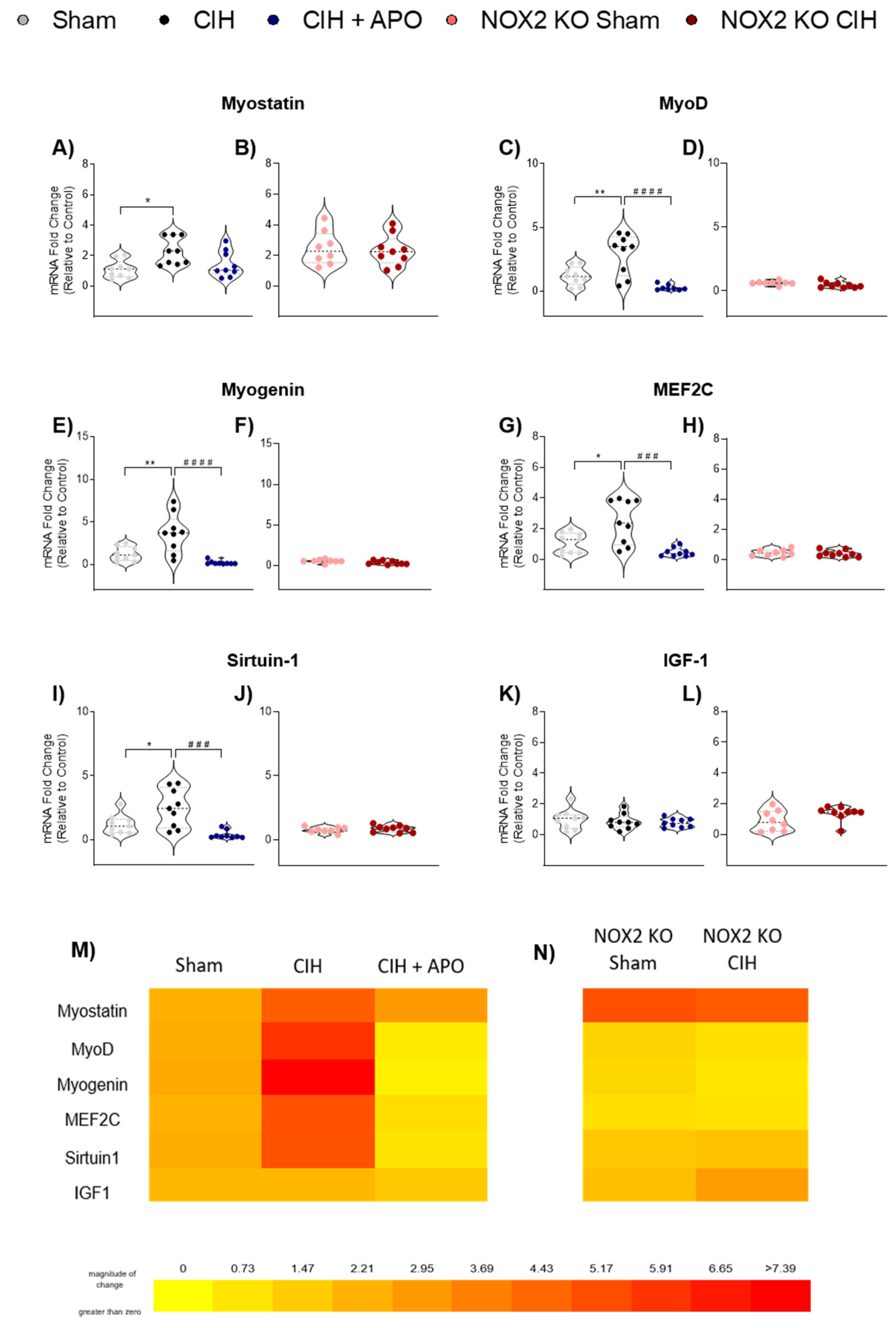 Cells 12 01834 g003 Cells 12 01834 g003